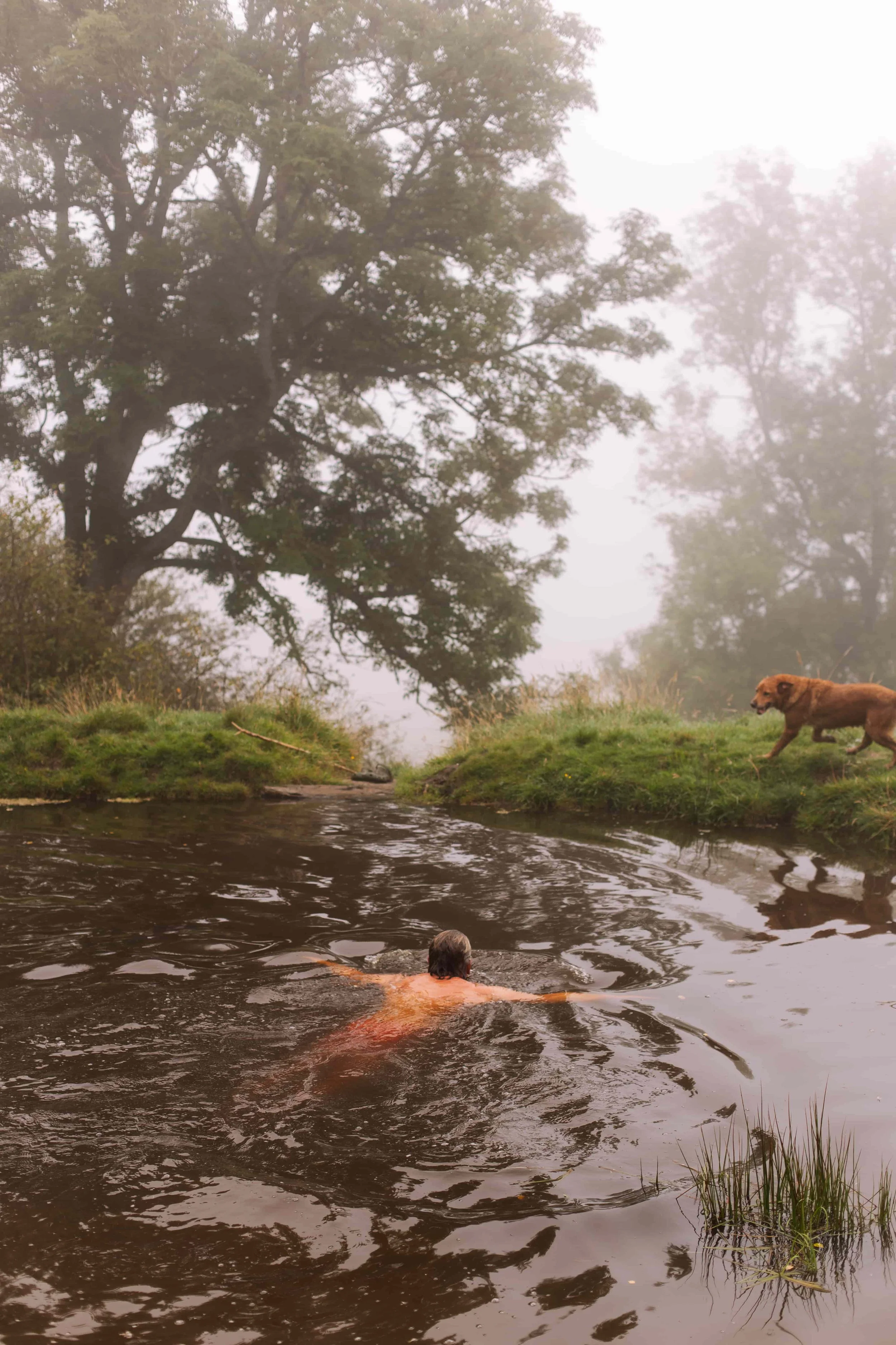 callofthewild(64).jpg