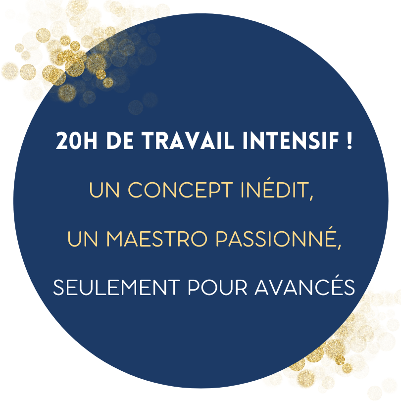 un événement de 20 heures de travail intensif, avec un concept inédit et un maître passionné, destiné uniquement aux avancés.