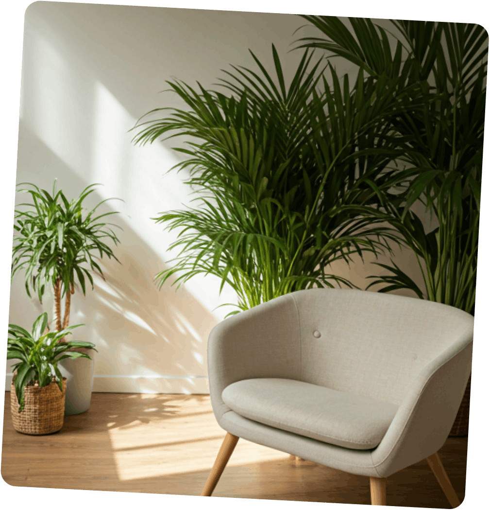 Compassionate Psychotherapy & Ketamine Treatment in North Miami