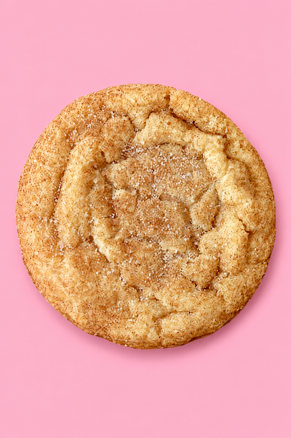 Snickerdoodle Cookie