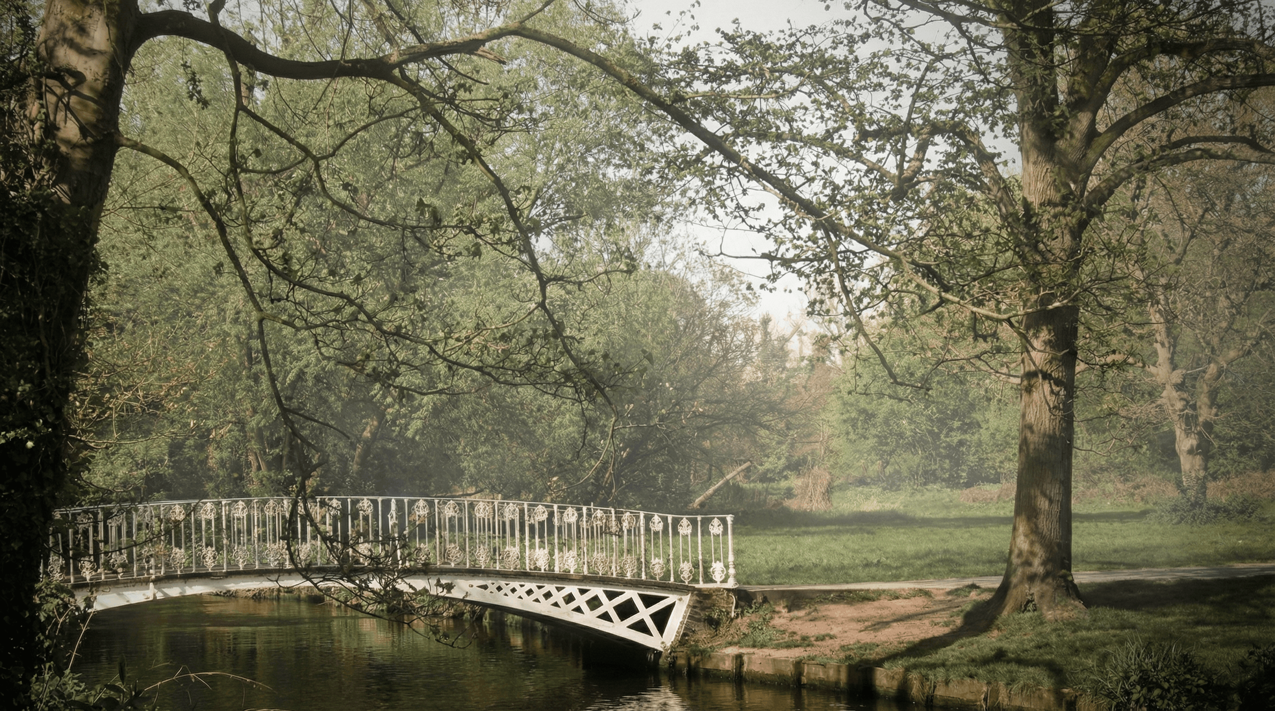 A peaceful park scene featuring a small white footbridge over a narrow stream, surrounded by large mature trees with green leaves and grassy areas.
