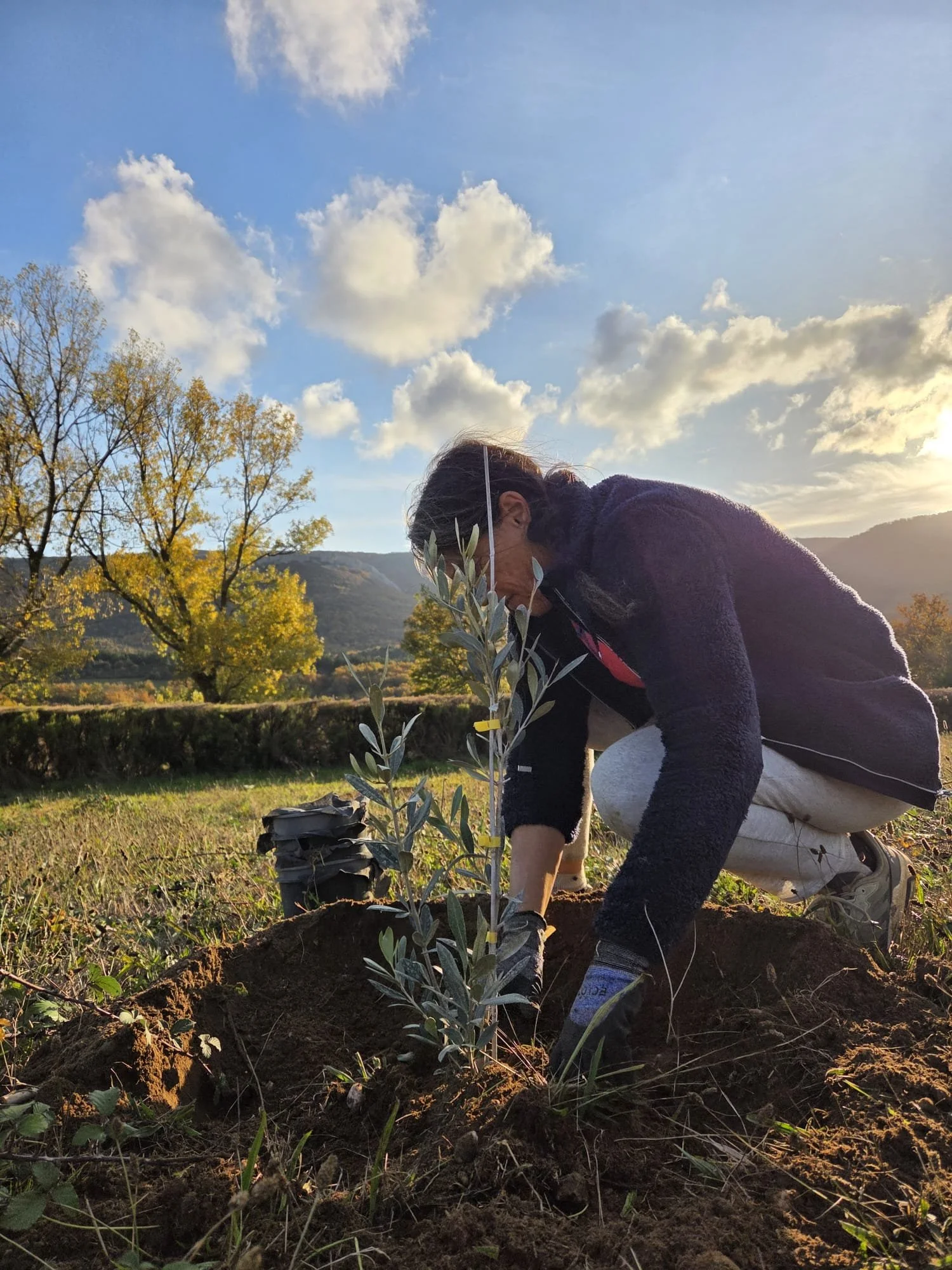 WhatsApp Image 2026-04-04 at 12.15.28.jpeg