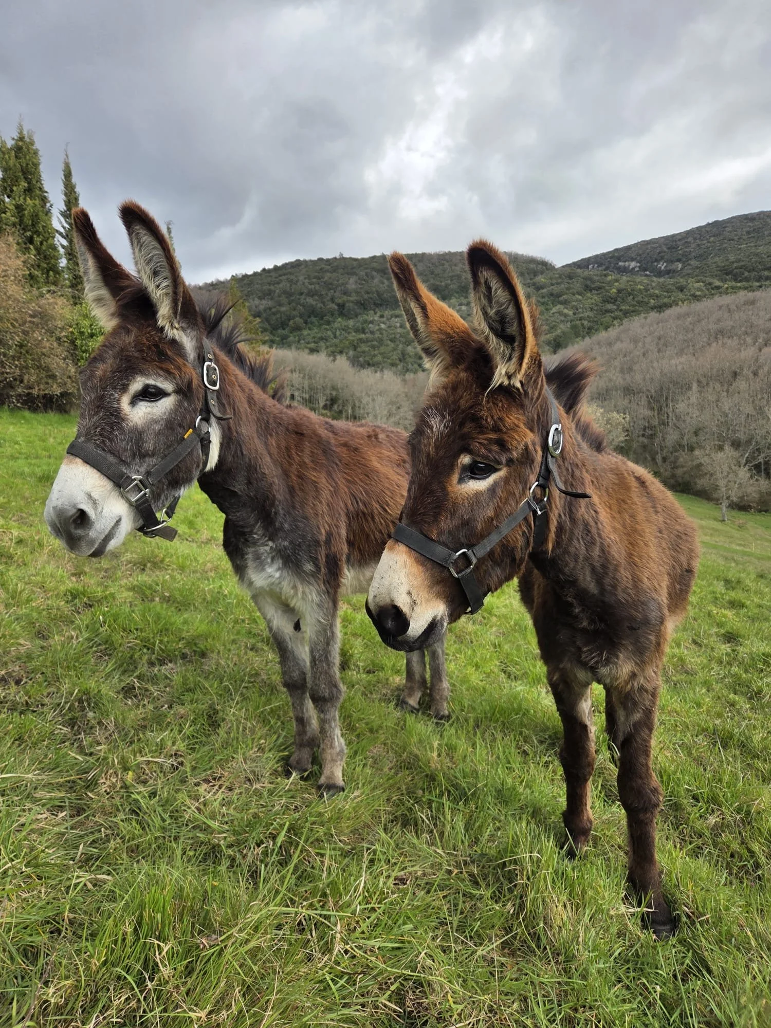 WhatsApp Image 2026-03-29 at 12.12.09.jpeg