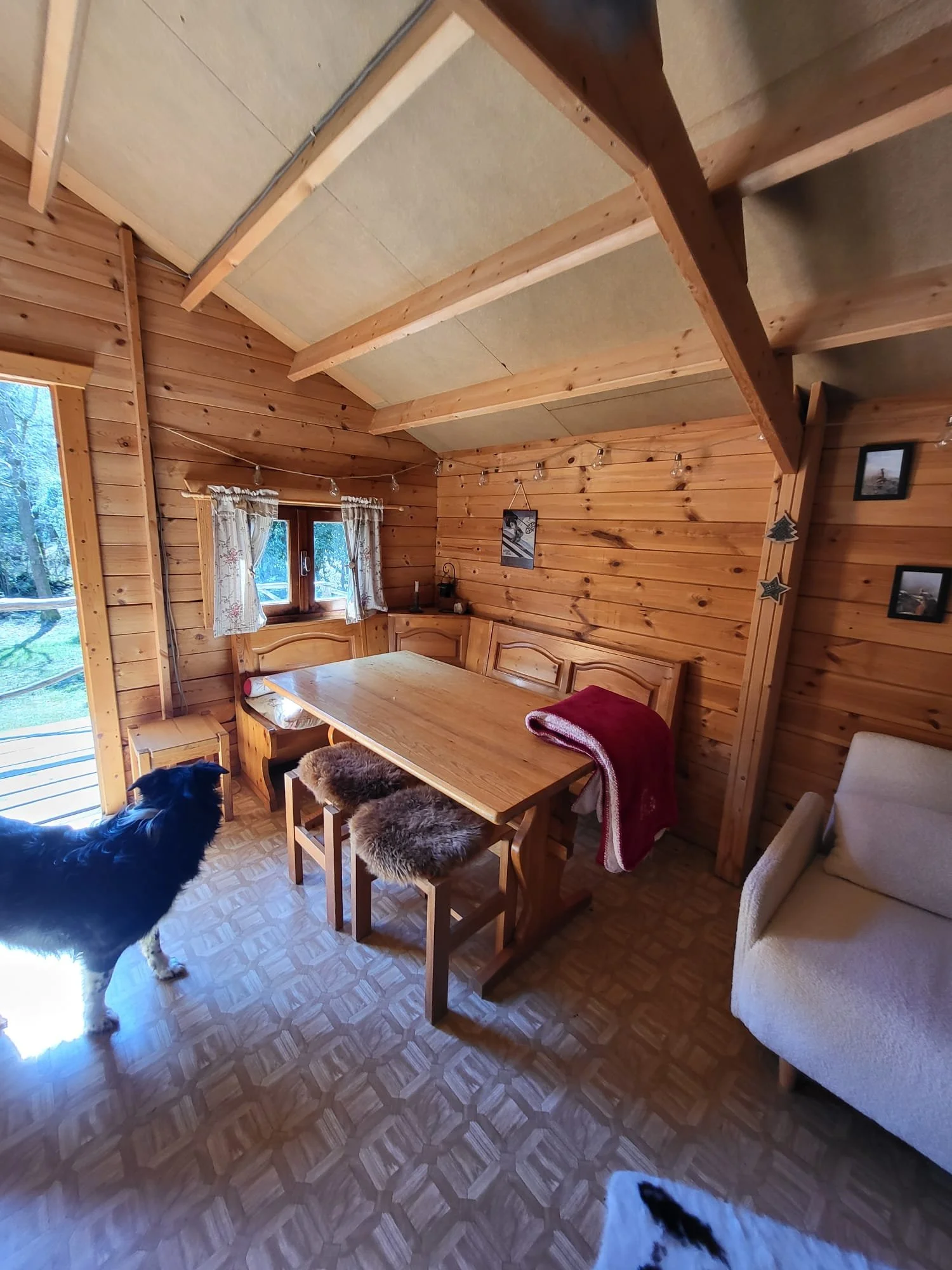 WhatsApp Image 2026-04-03 at 14.16.09 (1).jpeg