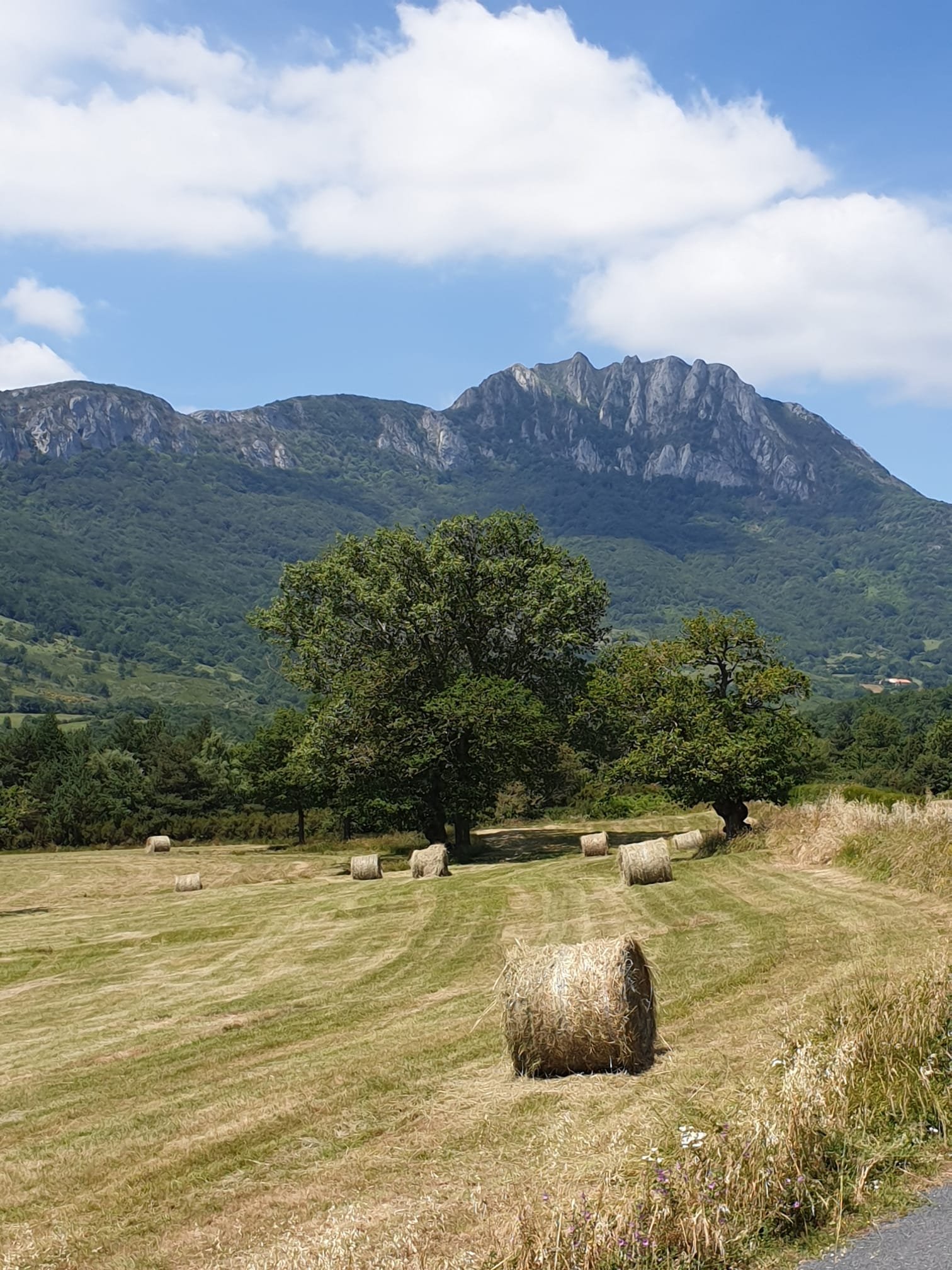 WhatsApp Image 2026-04-04 at 12.02.37.jpeg