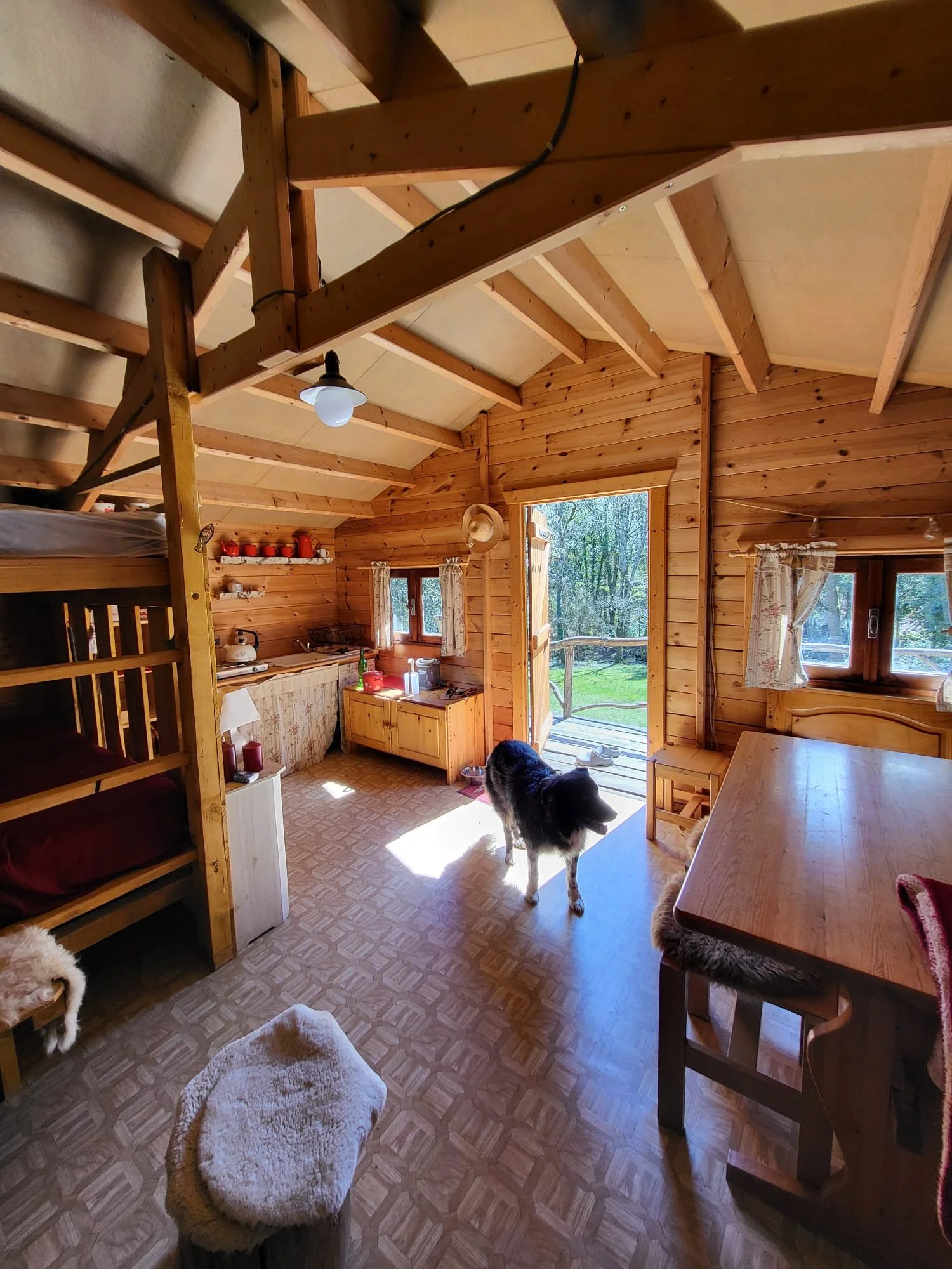 WhatsApp Image 2026-04-03 at 14.16.10 (6).jpeg