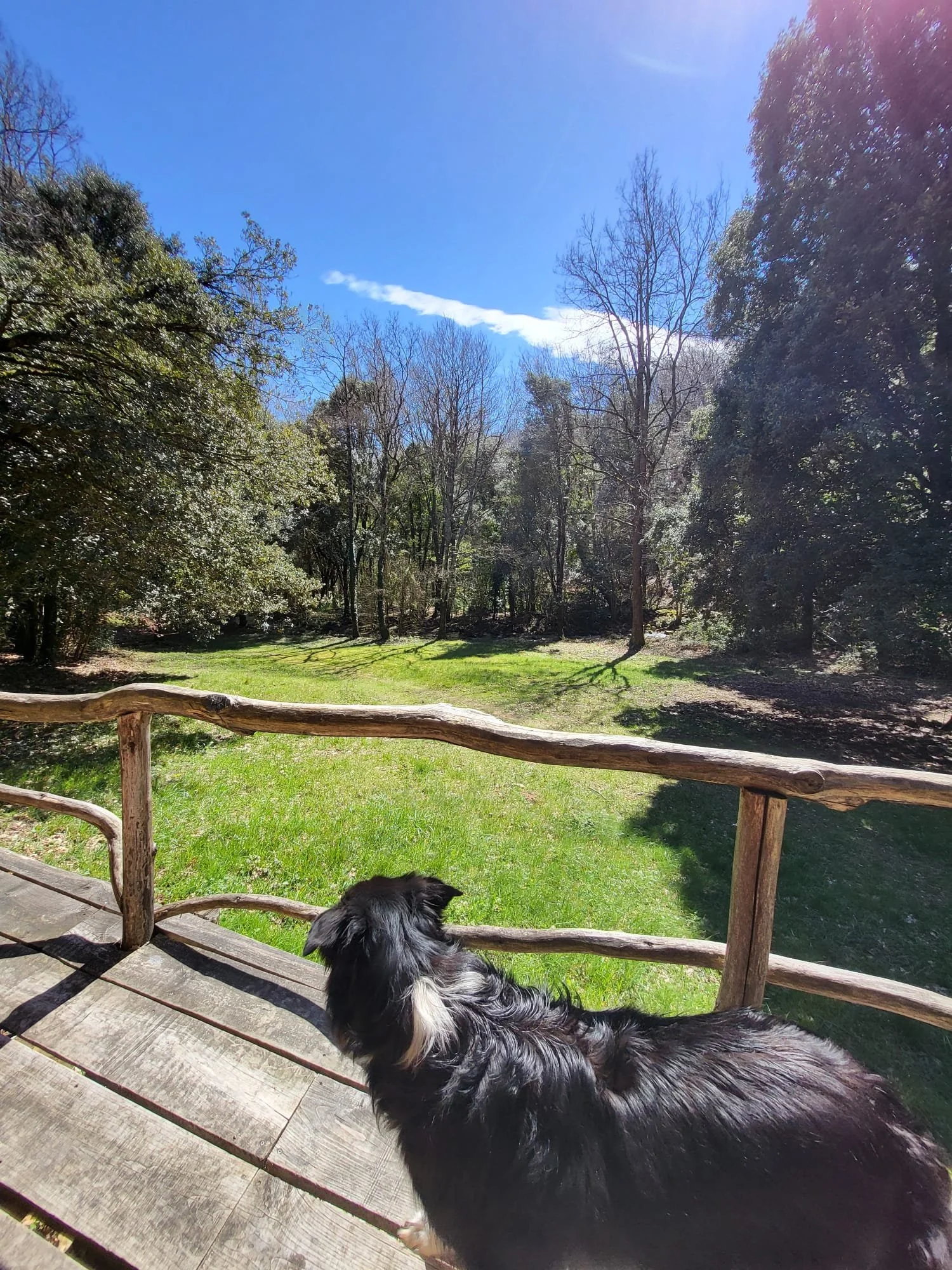 WhatsApp Image 2026-04-03 at 14.16.10 (1).jpeg