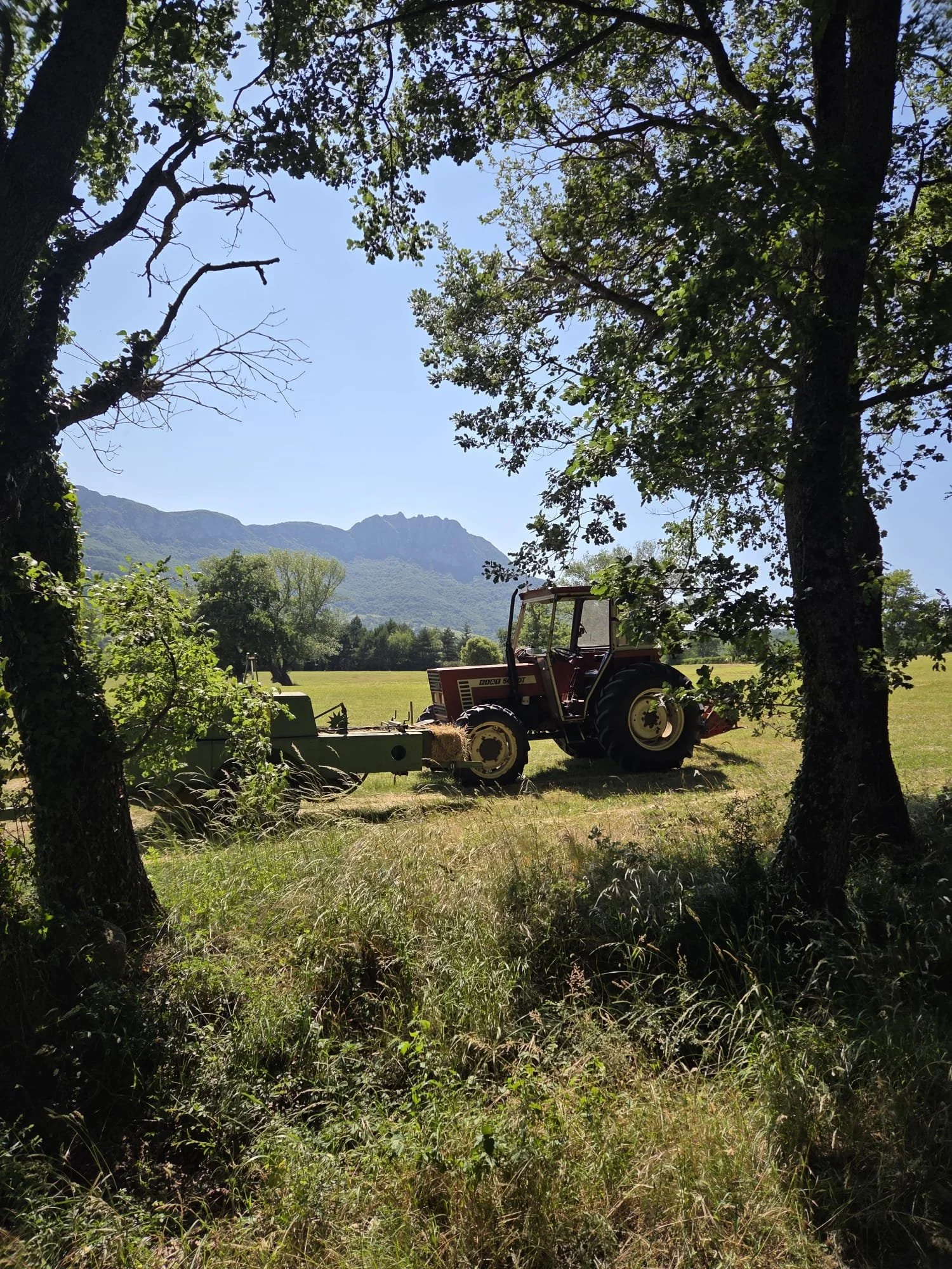 WhatsApp Image 2026-04-04 at 12.03.51.jpeg