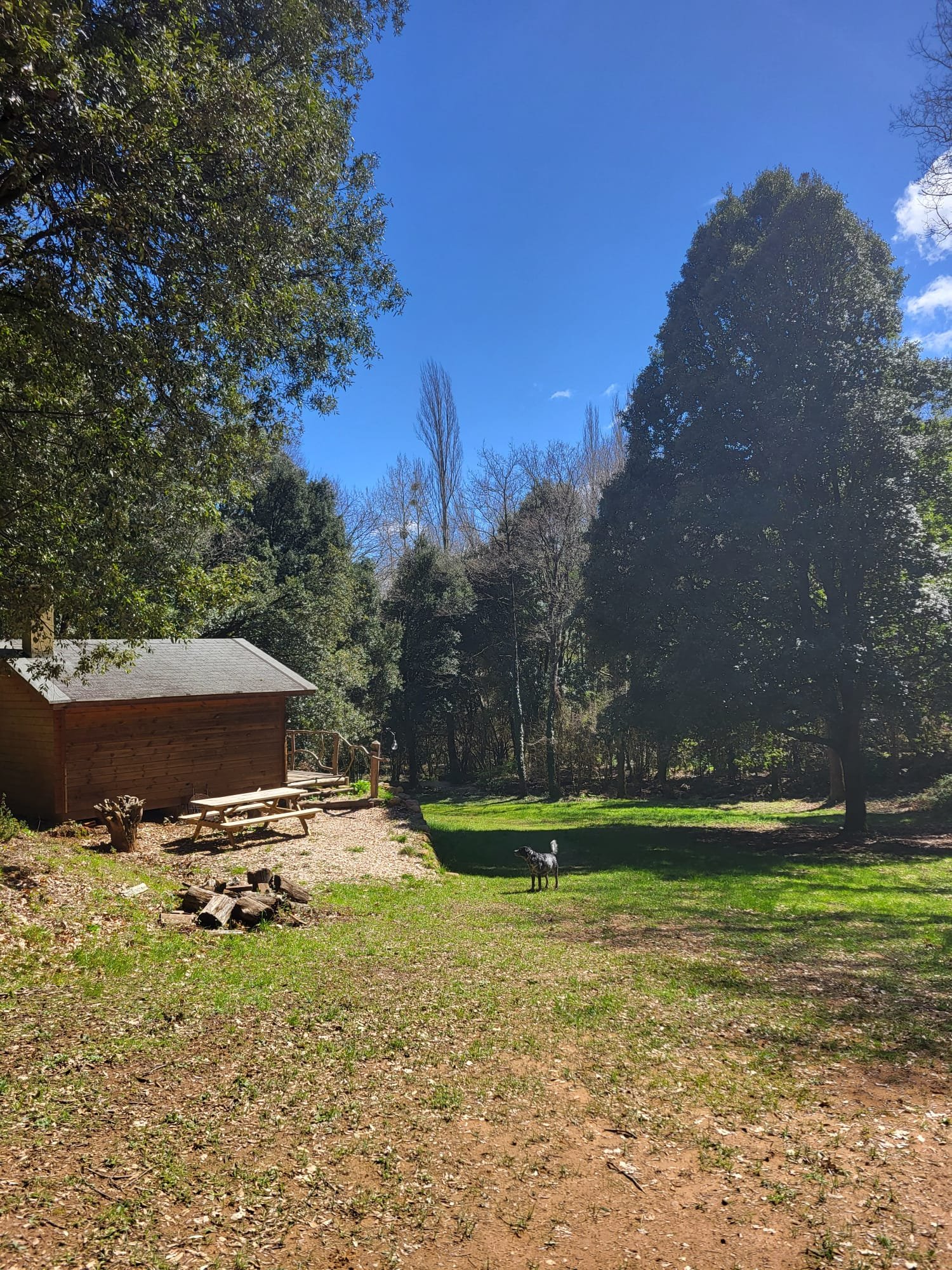 WhatsApp Image 2026-04-03 at 14.16.10.jpeg