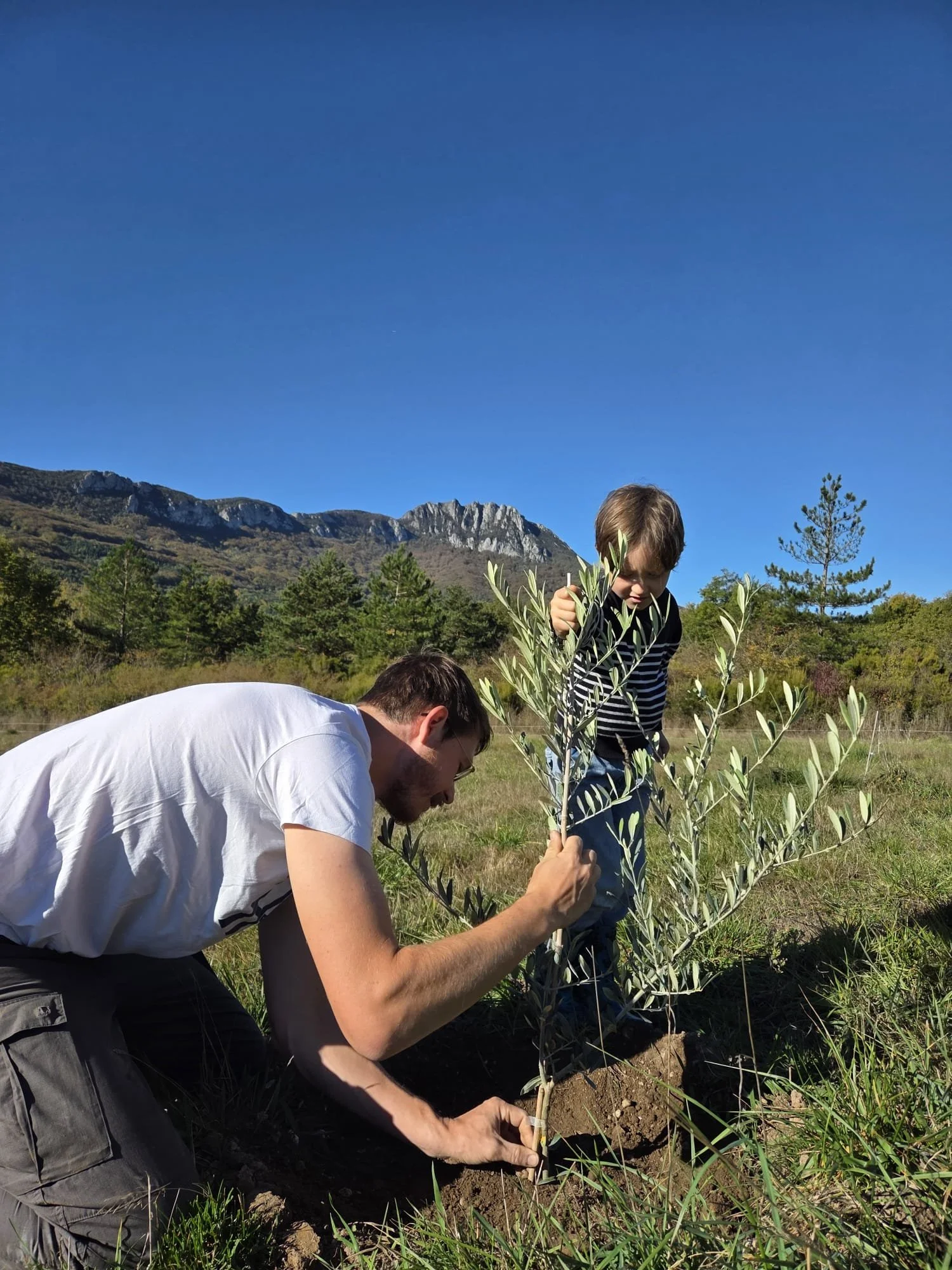 WhatsApp Image 2026-04-04 at 12.14.47.jpeg