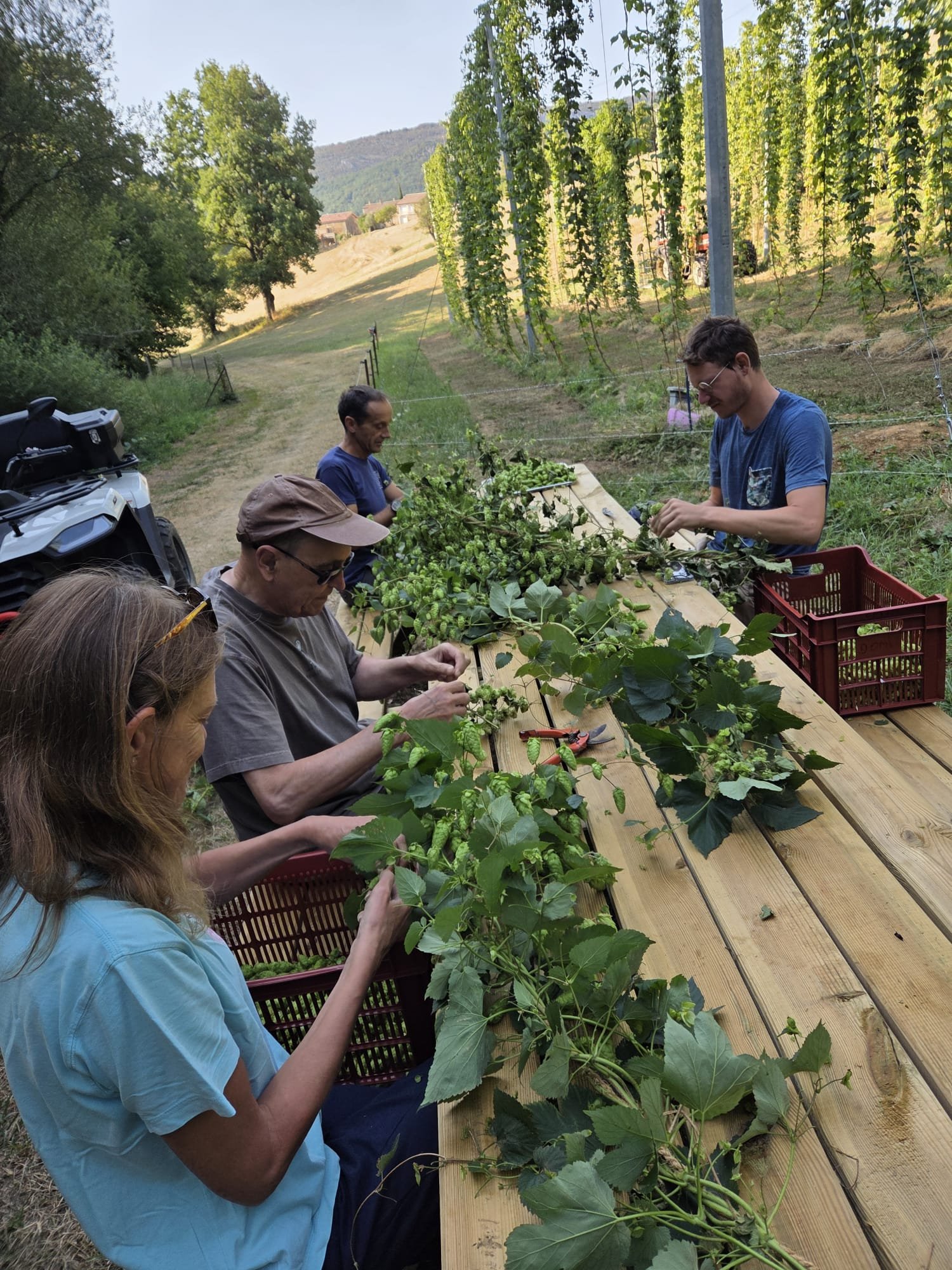 WhatsApp Image 2026-04-04 at 12.13.28.jpeg