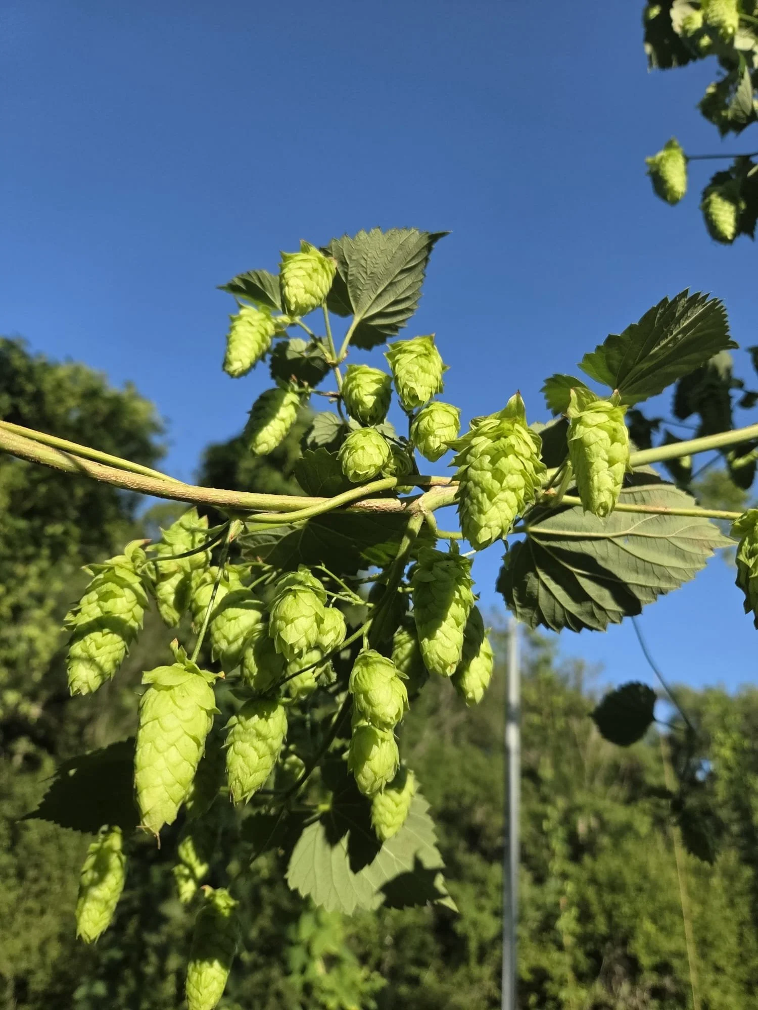 WhatsApp Image 2026-04-04 at 12.12.16.jpeg