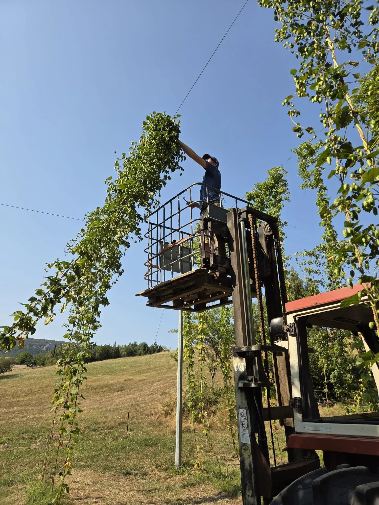 WhatsApp Image 2026-04-04 at 12.13.11.jpeg