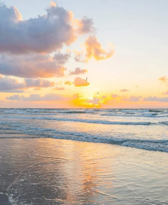Sunset over the ocean with clouds and birds flying, gentle waves on the shore, reflecting the colorful sky.