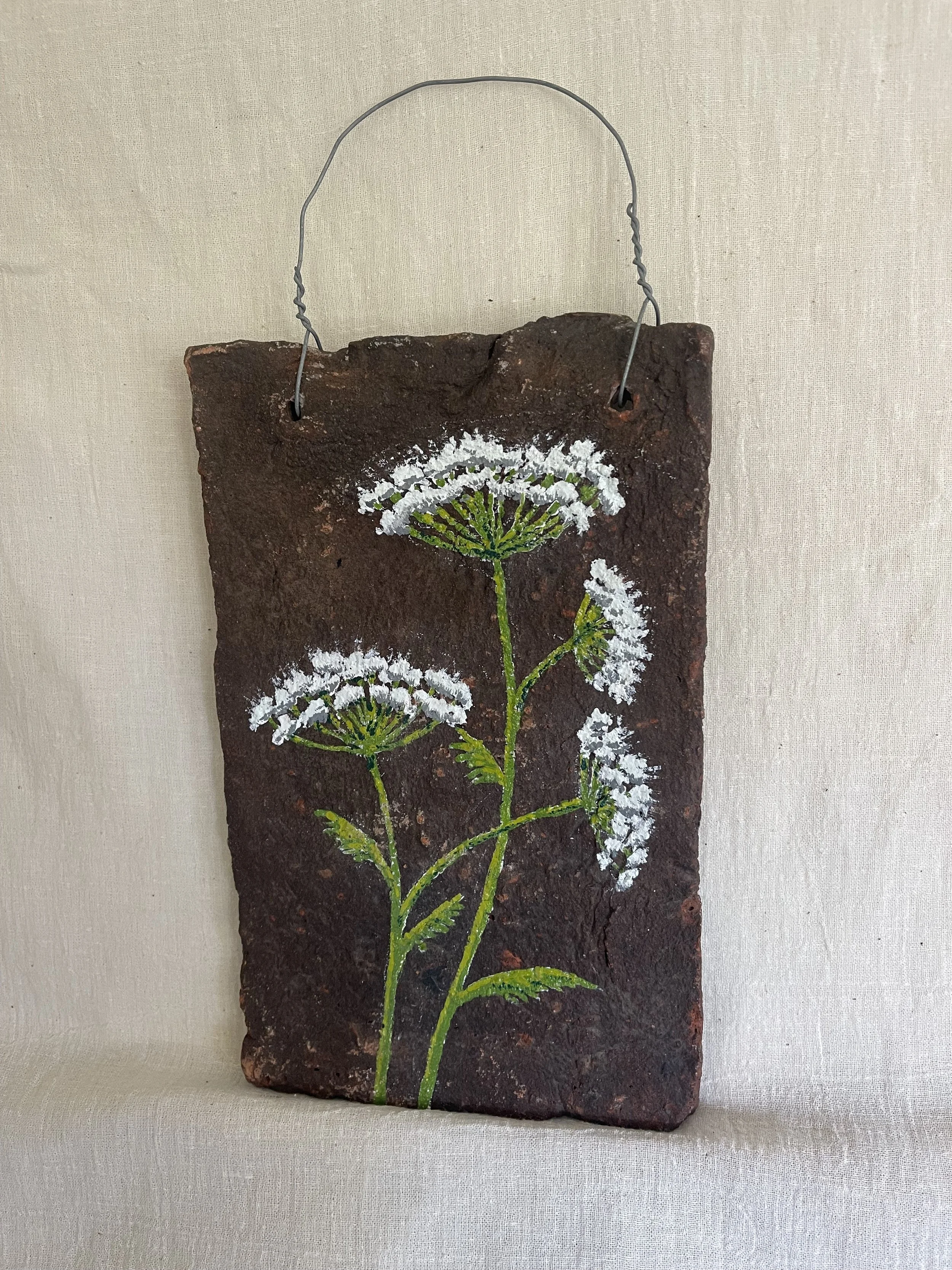 Cow Parsley