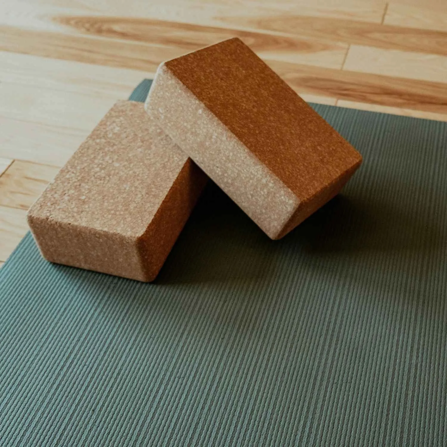 Alaya Foundations | 6 Week Introductory Programme