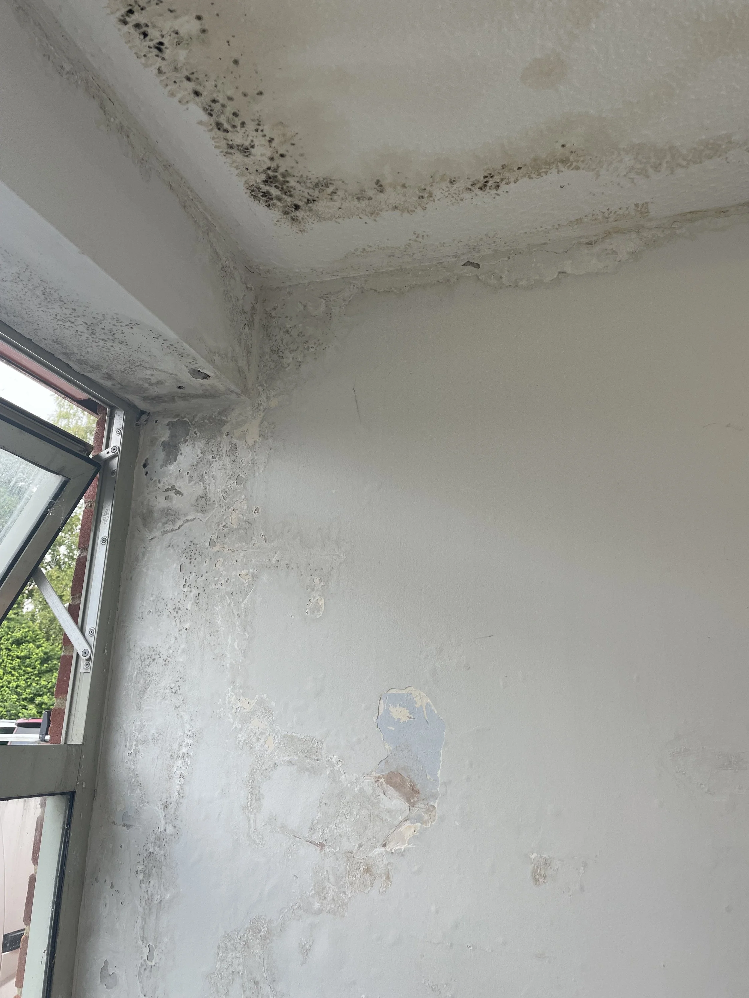 Residential Interior suffering mould and damage to the walls and ceilings.