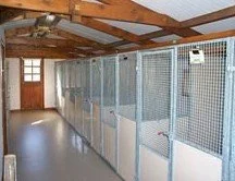 Interior view of the main building, with built-in cat accommodation lined up along a wall.