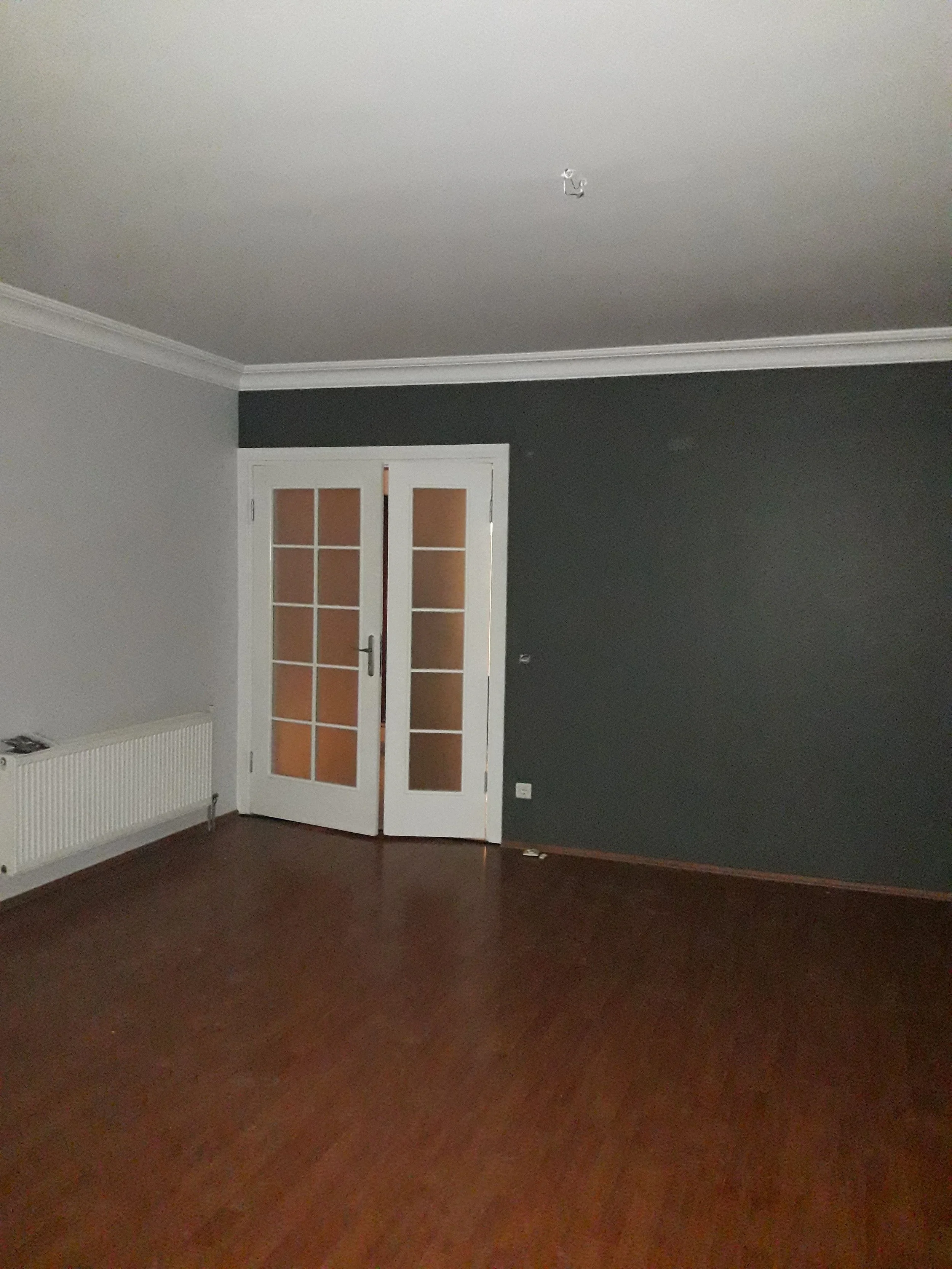 Empty room featuring hardwood floors, a white door with glass panels, a gray and a dark gray wall, crown molding, an electrical outlet, and a radiator.