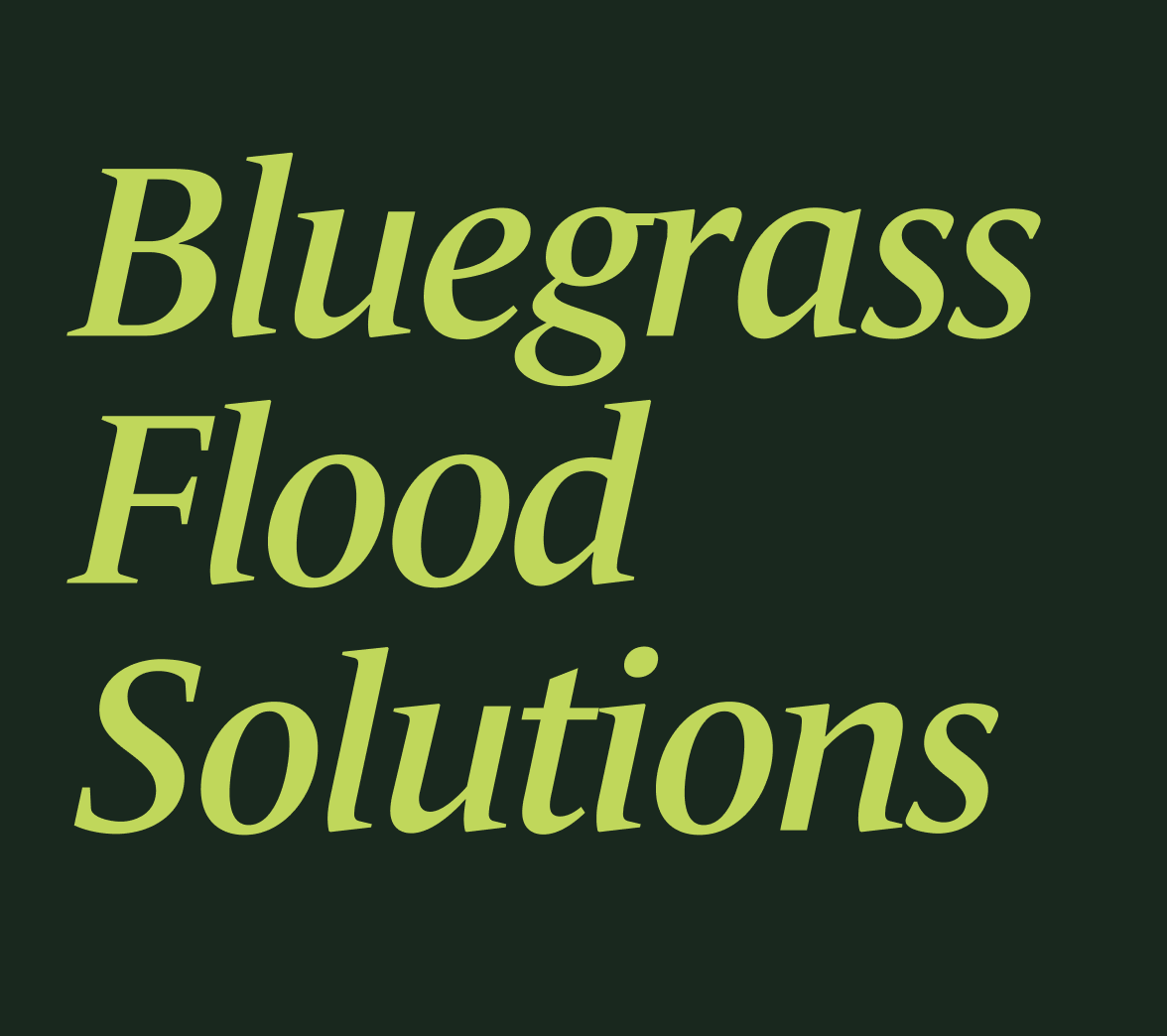 Flood Mitigation Through Green Solutions