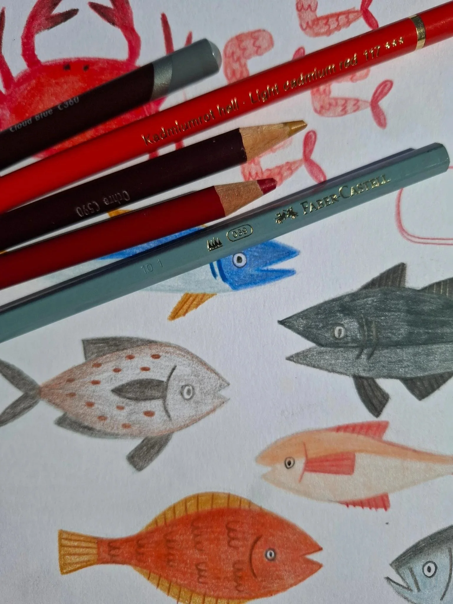 Process photo of colored pencils resting above a fish market illustration featuring hand-drawn fish studies on white paper.