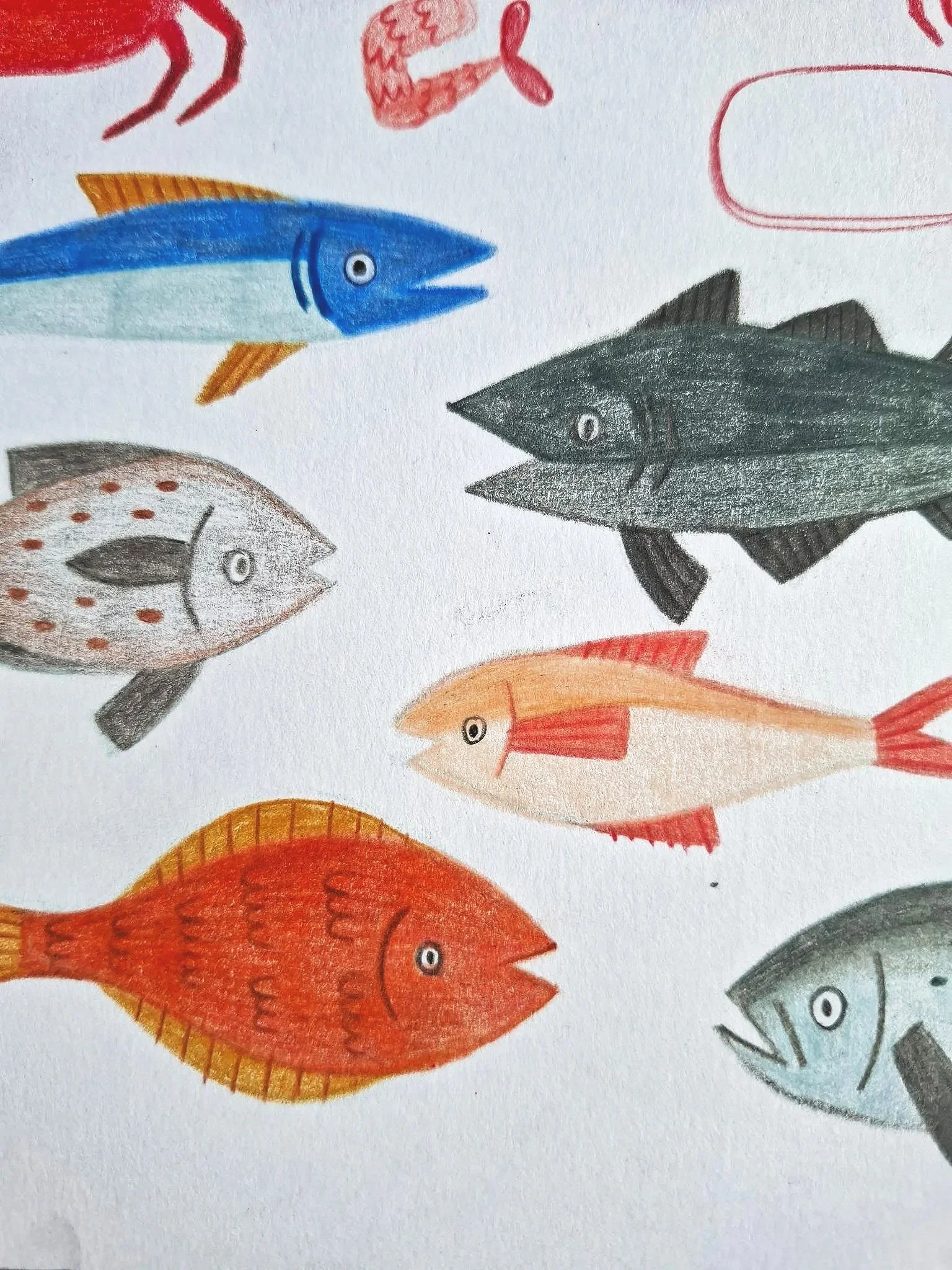 Colored pencil illustration of brightly colored fish with simple patterned details drawn on white paper.