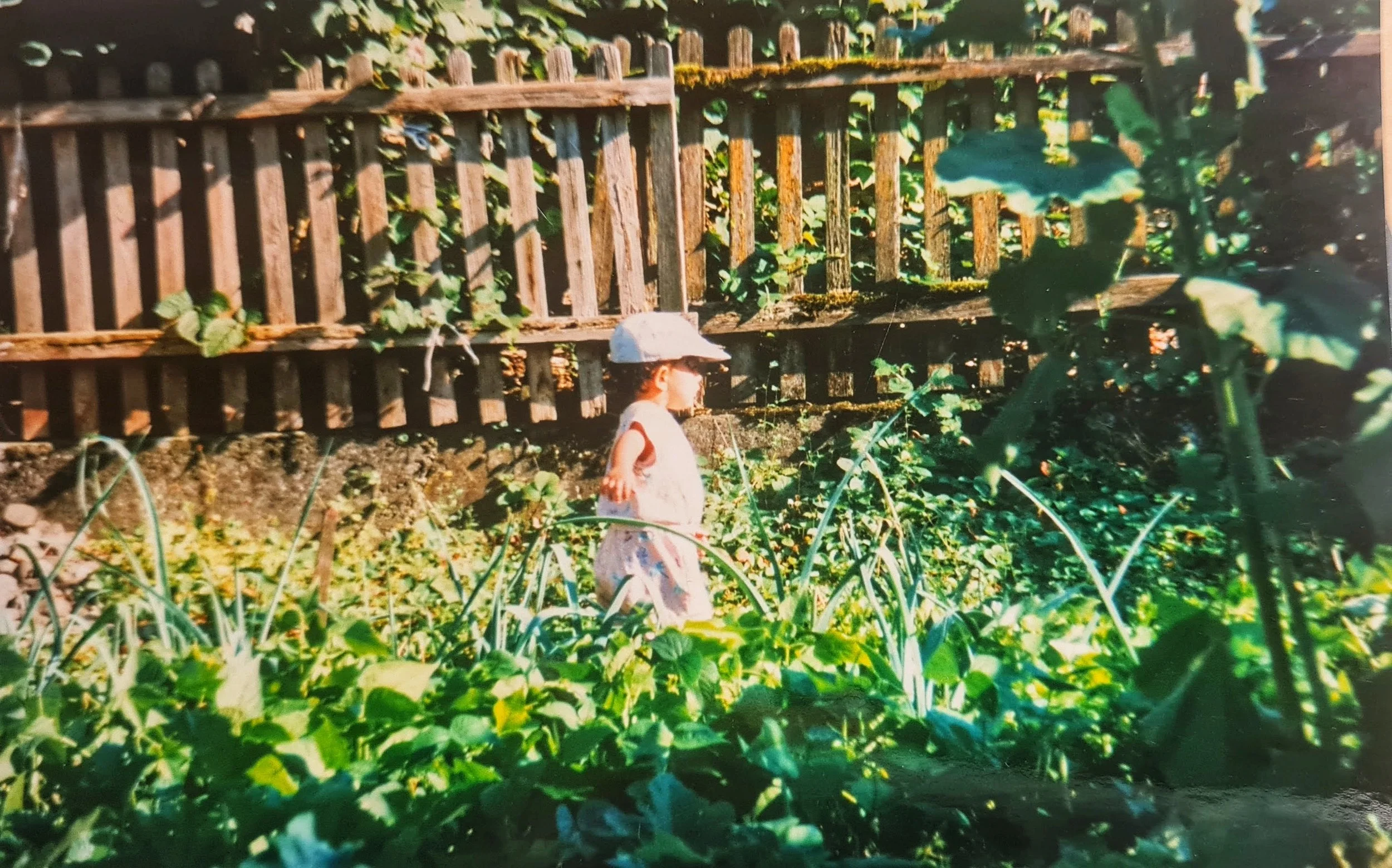 A Swiss Village Summer In The Early 2000s