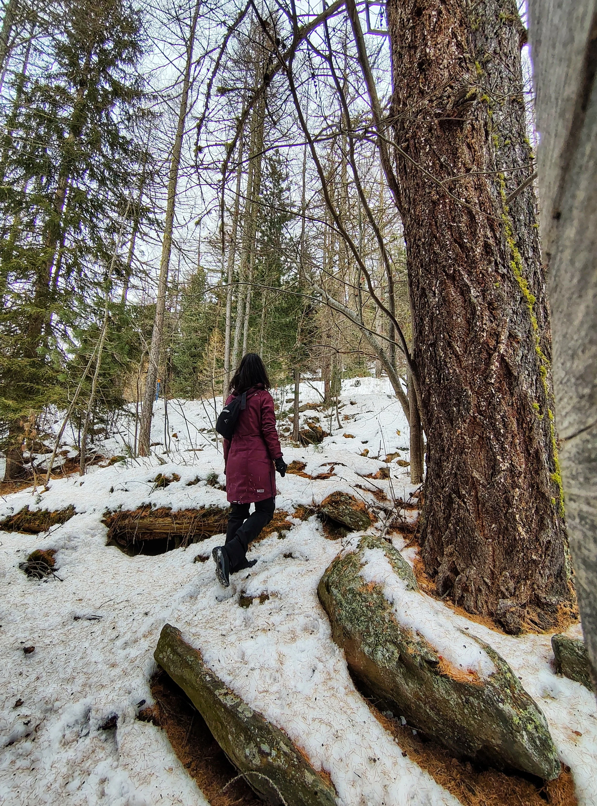 A Heart Beating For The Outdoors