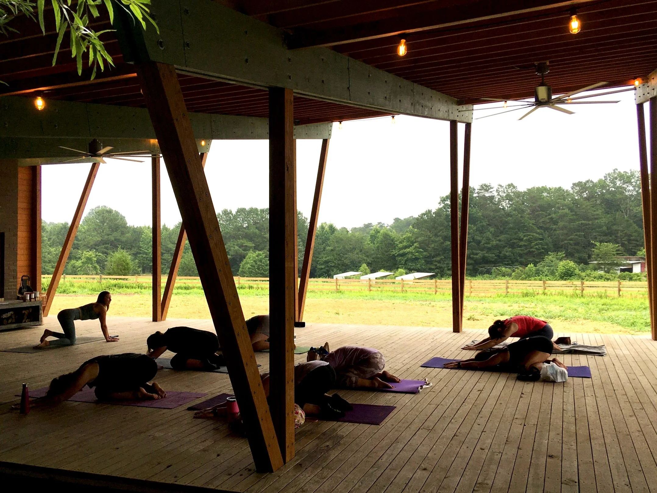 People participating in a yoga class on purple mats inside a wooden pavilion, with some practicing poses and looking outdoors at a scenic landscape with trees and field.