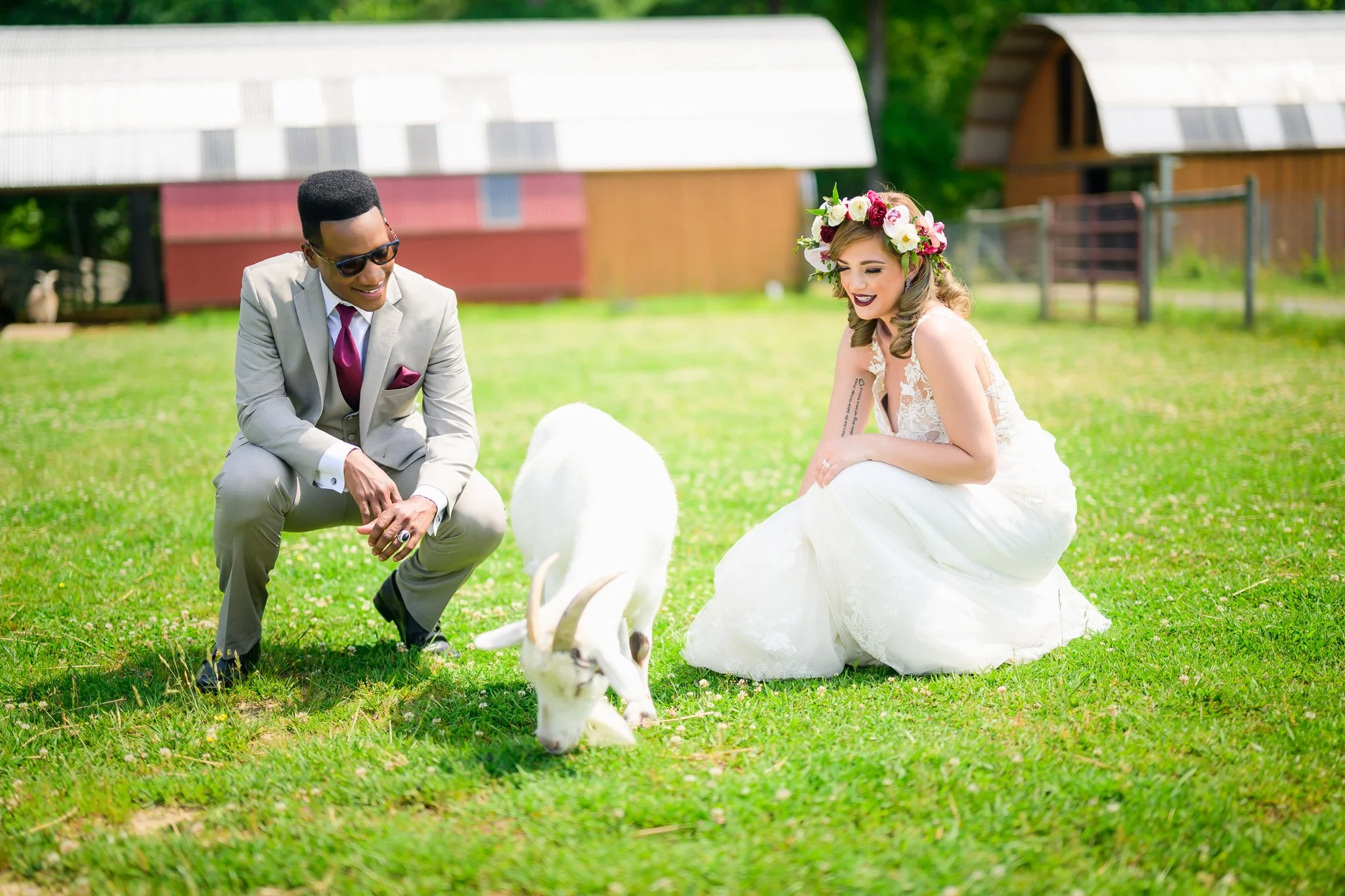 A bride in a white wedding dress with a floral crown and a man in a light gray suit with sunglasses kneeling on grass, petting a white goat with large horns, with farm buildings and trees in the background.