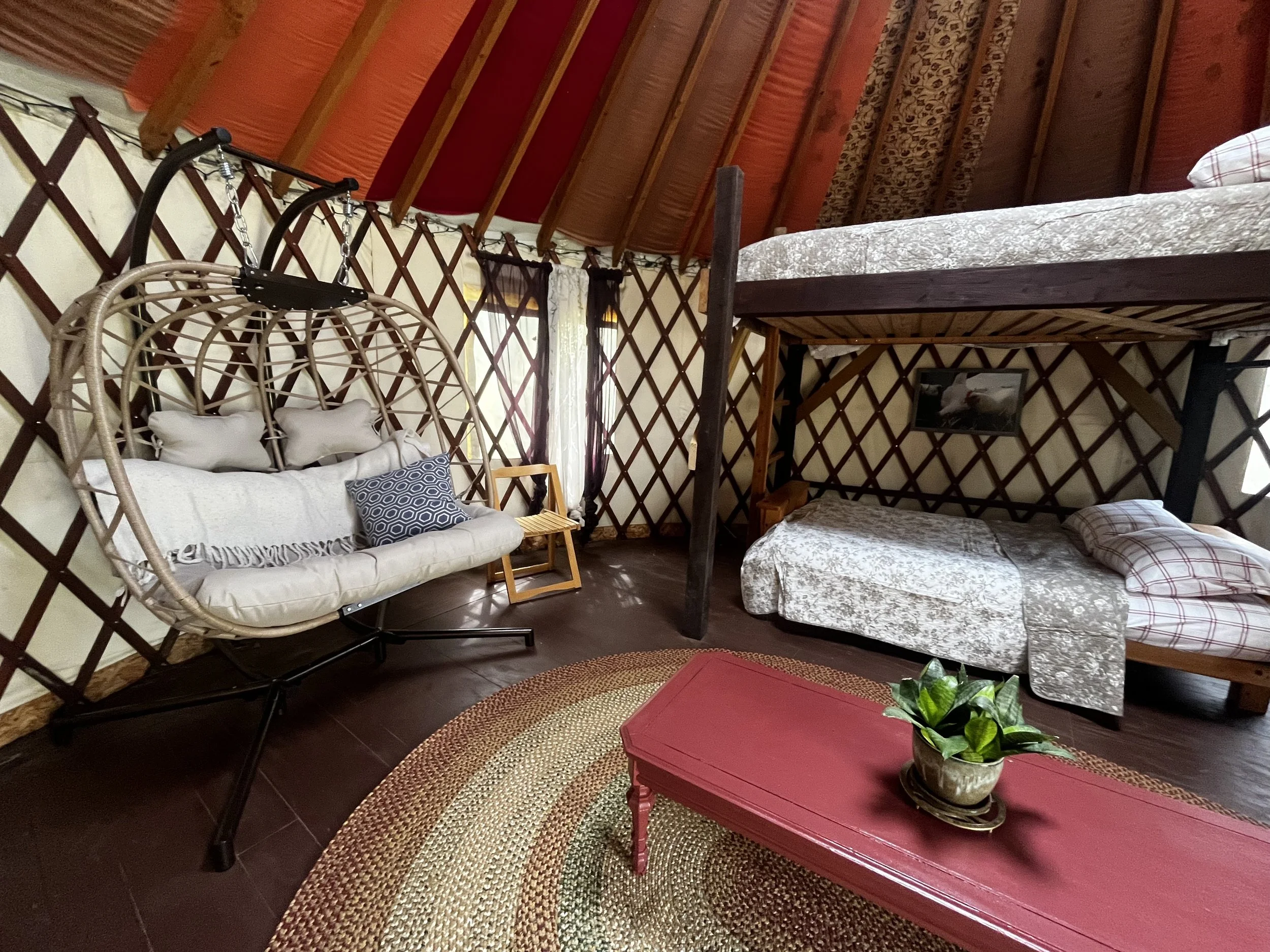 Interior of a Yurt with a wooden lattice wall, a bunk bed, a wicker hanging chair with throw pillows, a red wooden table with a plant, a circular woven rug, and curtains covering the windows.