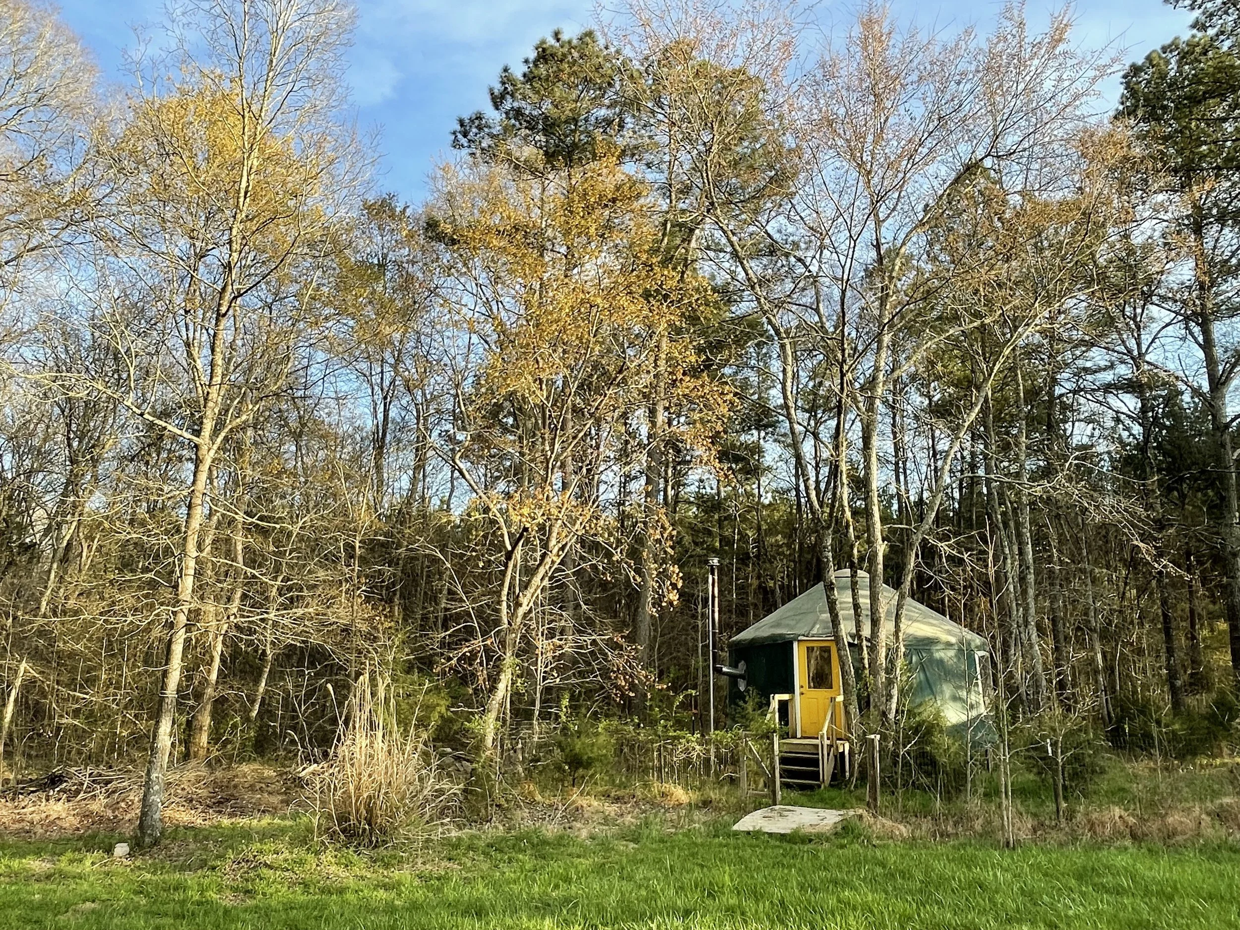A backyard scene with trees, grass, a small yellow shed, and a green greenhouse, with a blue sky in the background.