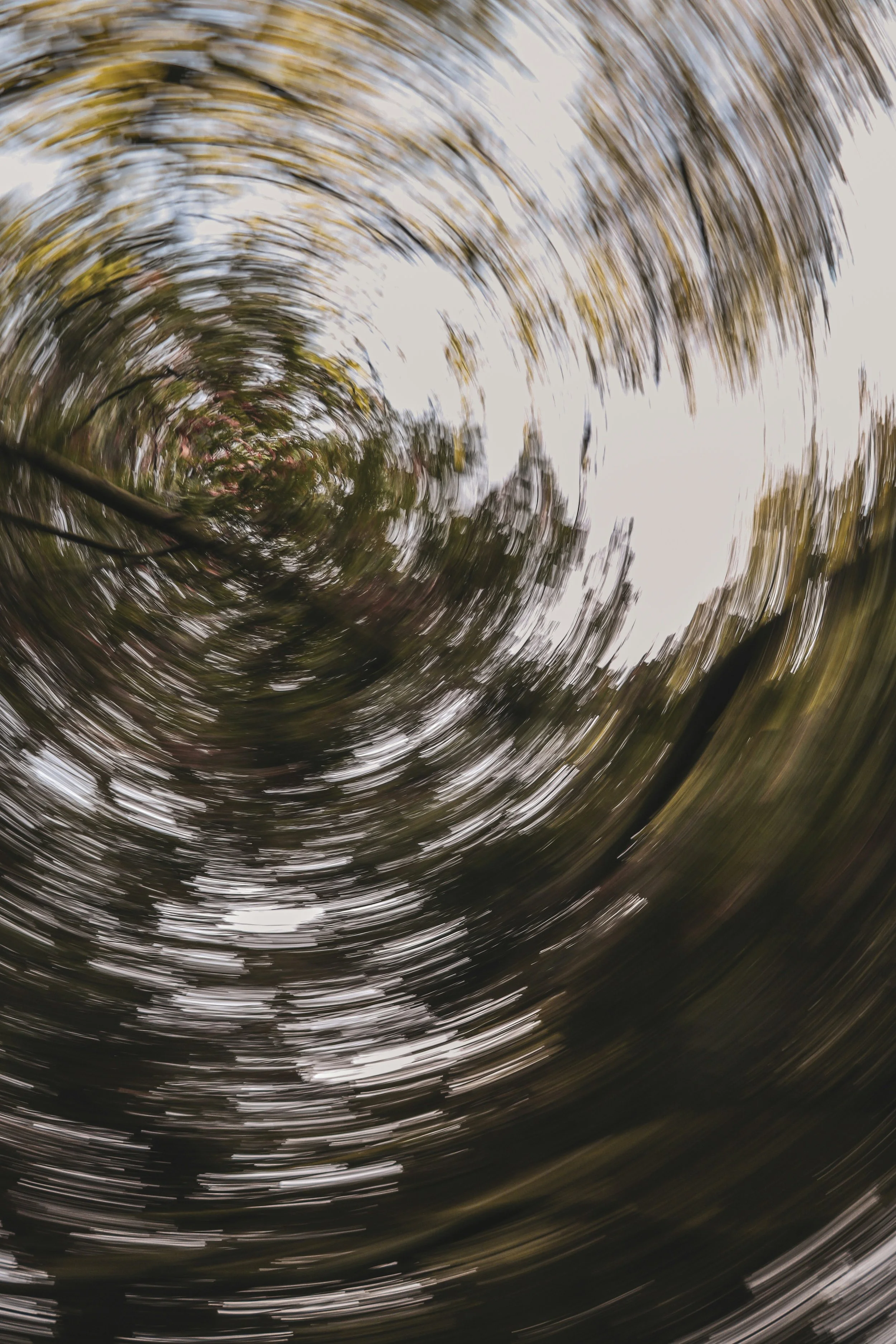 Blurred motion of tree branches and leaves against a cloudy sky.