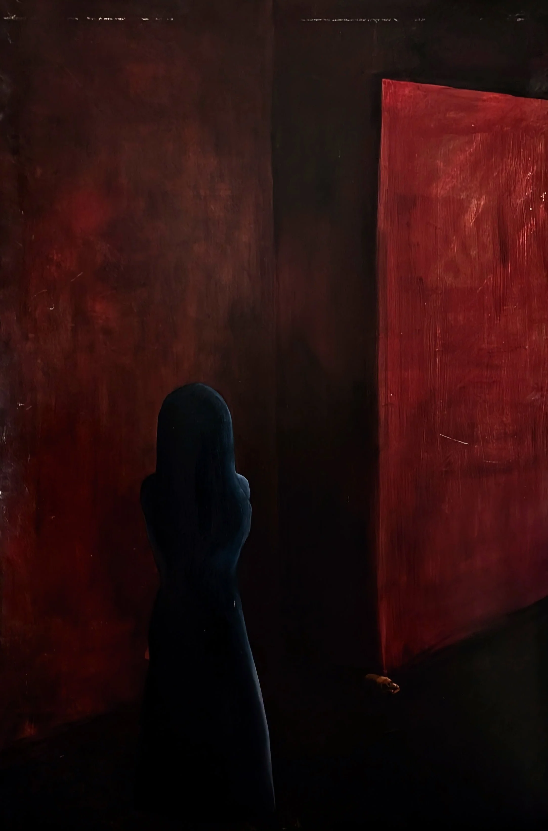 Person standing in a dark room with red textured walls, viewed from above with only the person's silhouette visible.