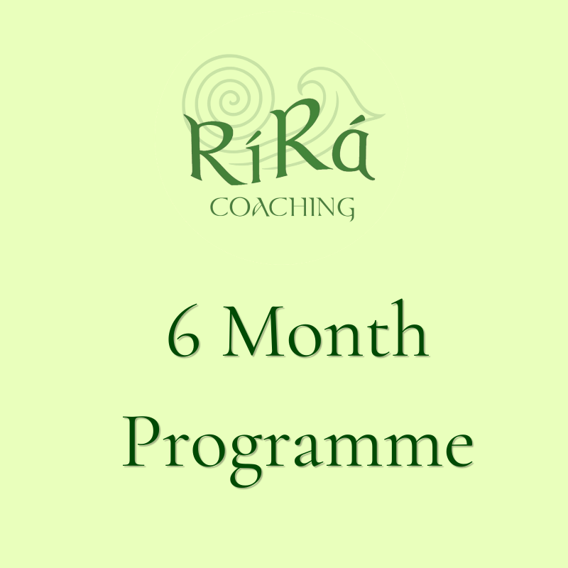 6 - Month Programme