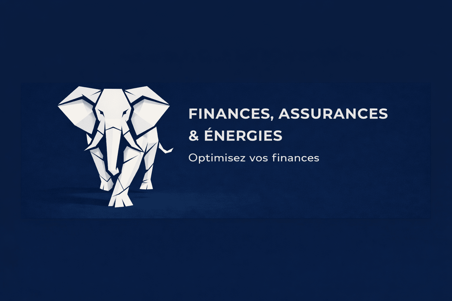 Bannière Cabinet Baron