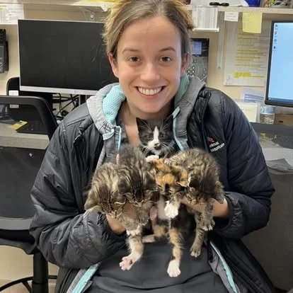 A woman smiling and holding four small kittens in her hands inside an office.