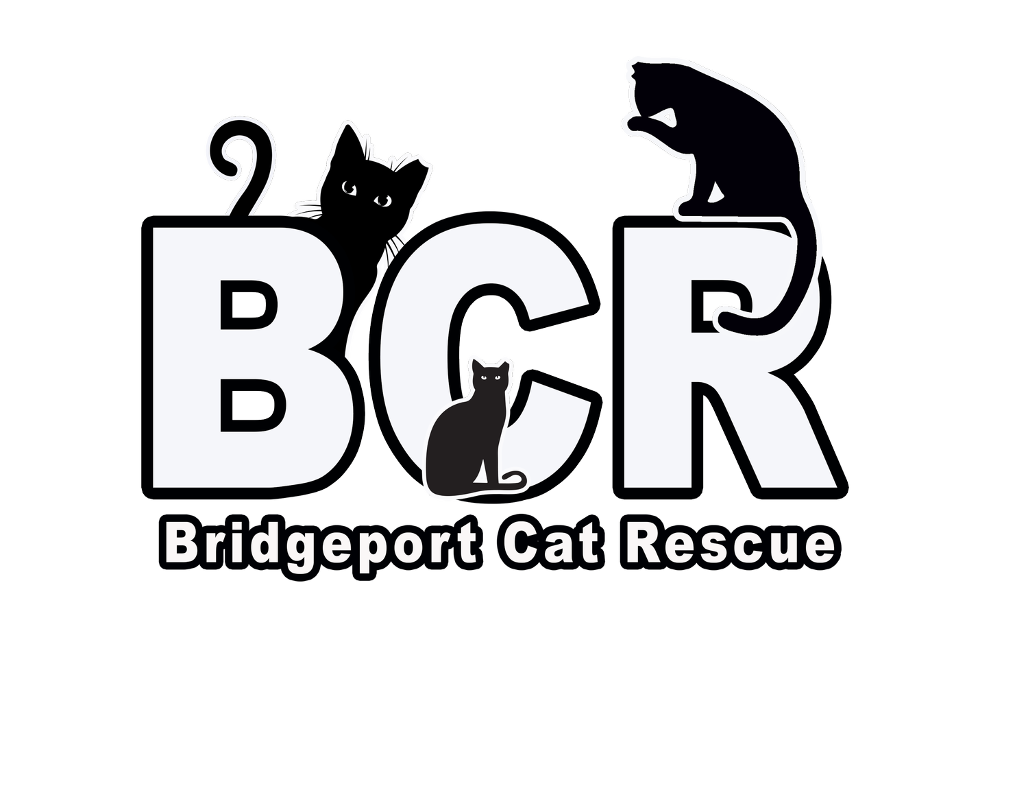 Bridgeport Cat Rescue