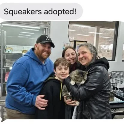 Group of four people, two men and two women, holding a cat at an animal shelter or pet store, with a sign saying 'Squeakers adopted!'