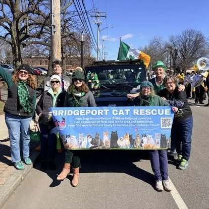 Group of people with green clothing and hats, holding a banner that reads 'Bridgport Cat Rescue' during a parade, with a vehicle and a brass band in the background.