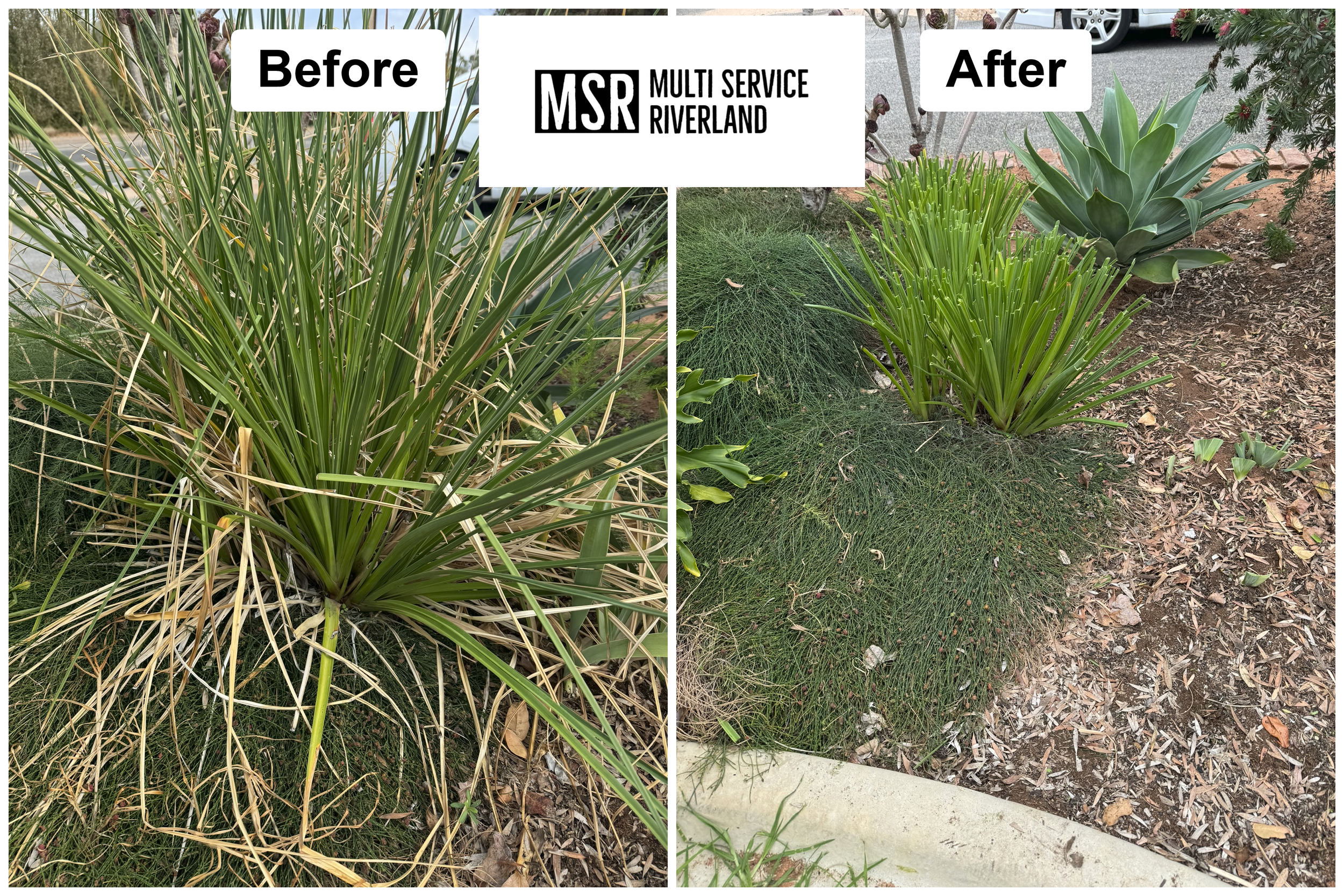 before-after(2).png
