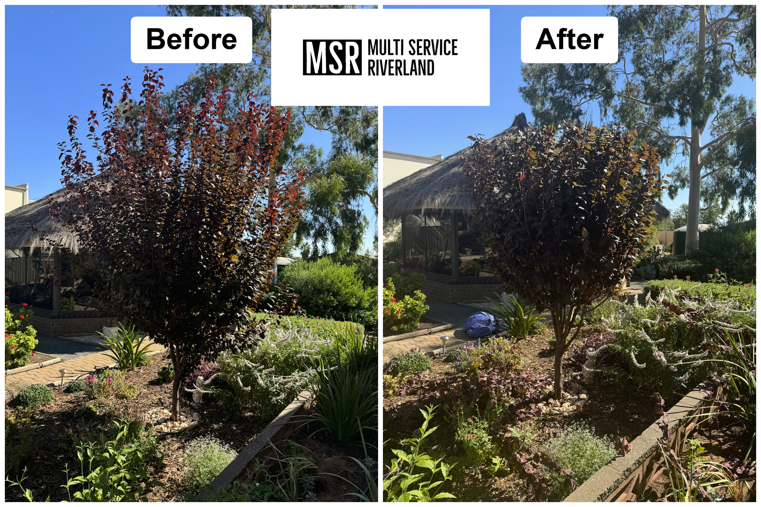 before-after(4).png