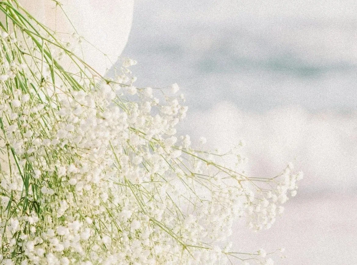 White baby's breath flowers with a soft focus sky background.