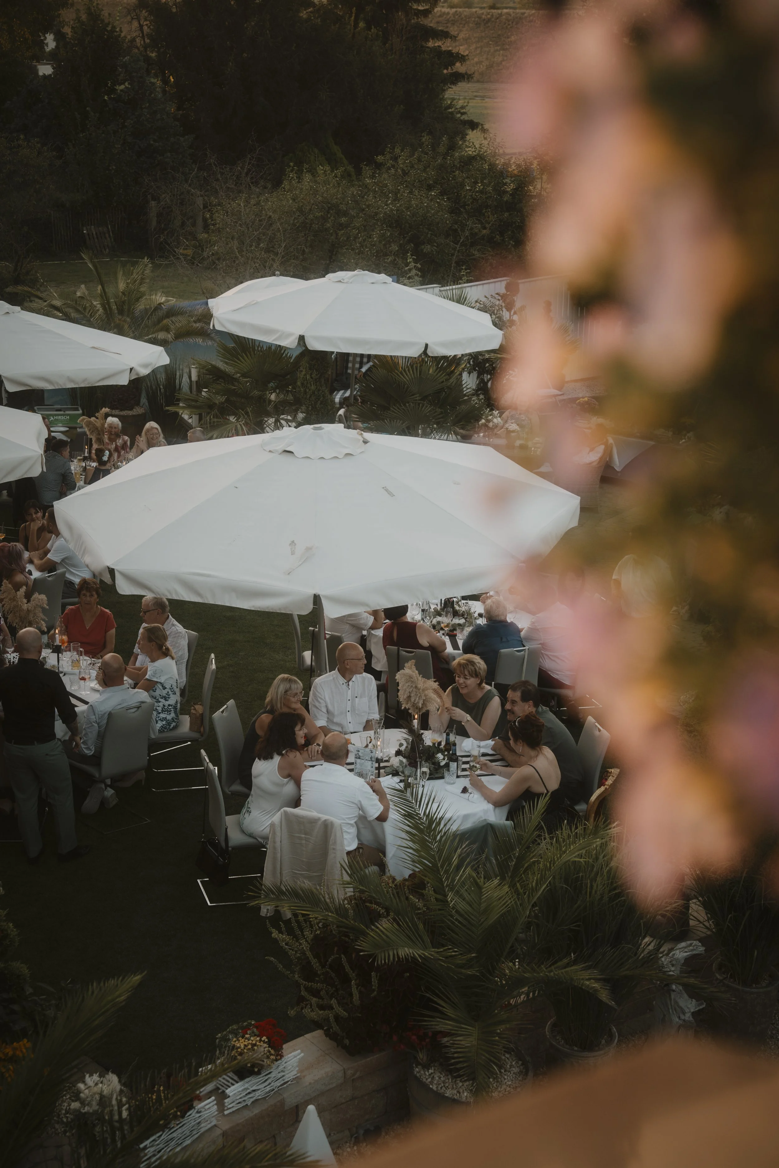 Blick auf eine Gruppe von Menschen, die bei einem Abendessen im Freien unter großen weißen Sonnenschirmen sitzen, umgeben von Pflanzen und Blumen.