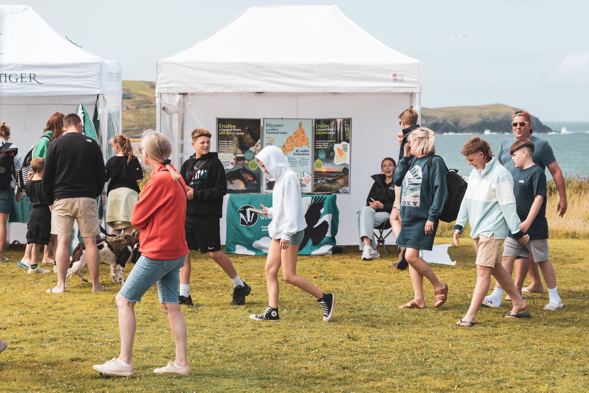 A group of people, including children and adults, gathered outside near a beach with cliffs in the background. They are walking and socializing near two white tents set up on a grassy area, one of which has informational posters about wildlife and exploring Cornwall.