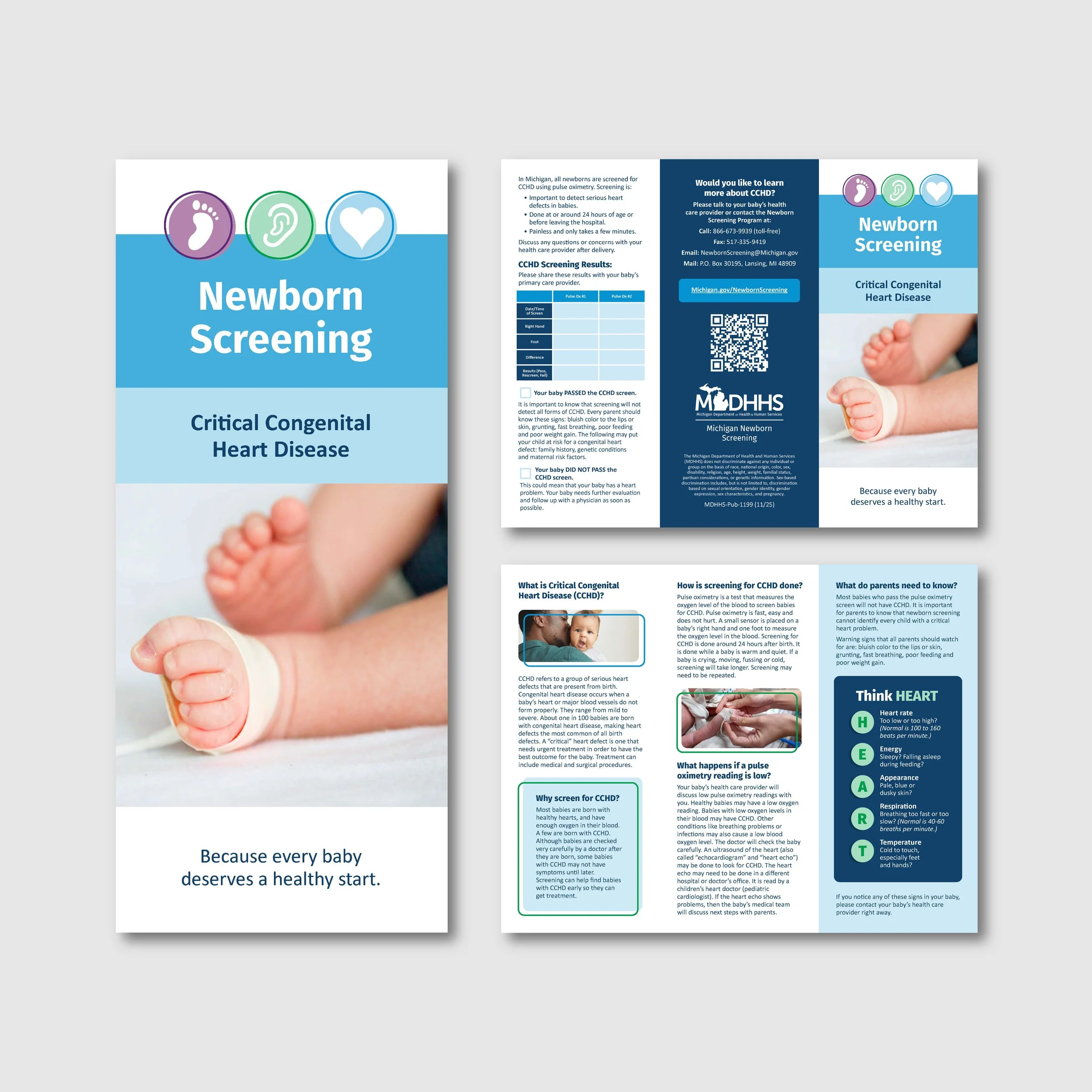 brochure 2.jpg