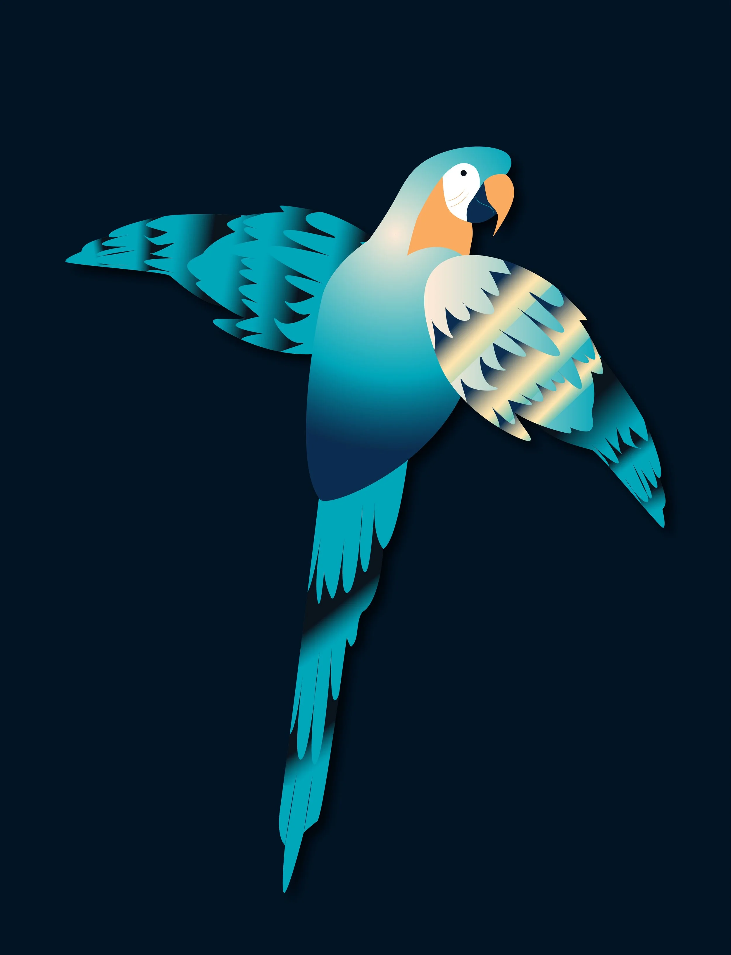 Animals 7.jpg