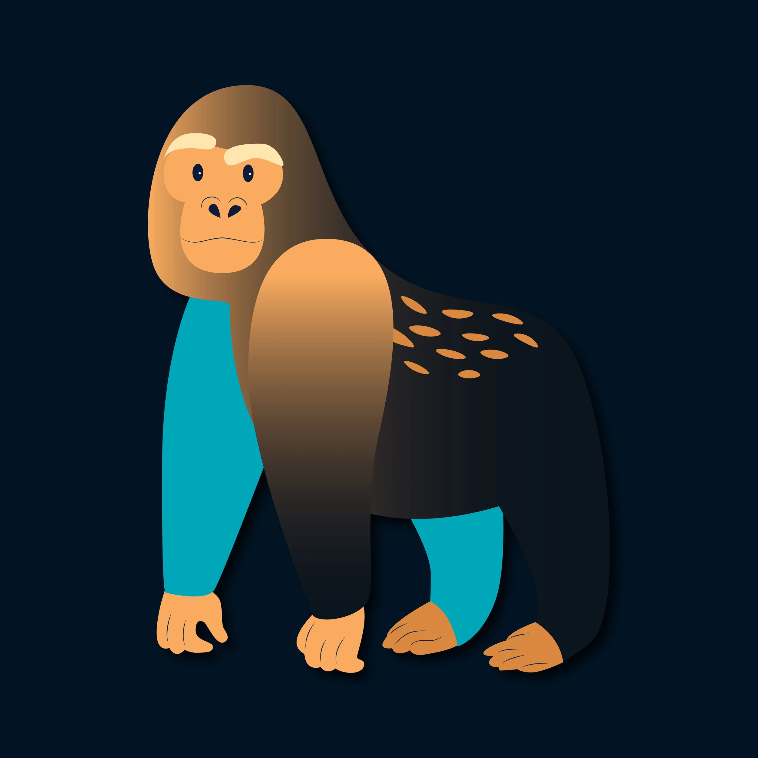 Animals 8.jpg