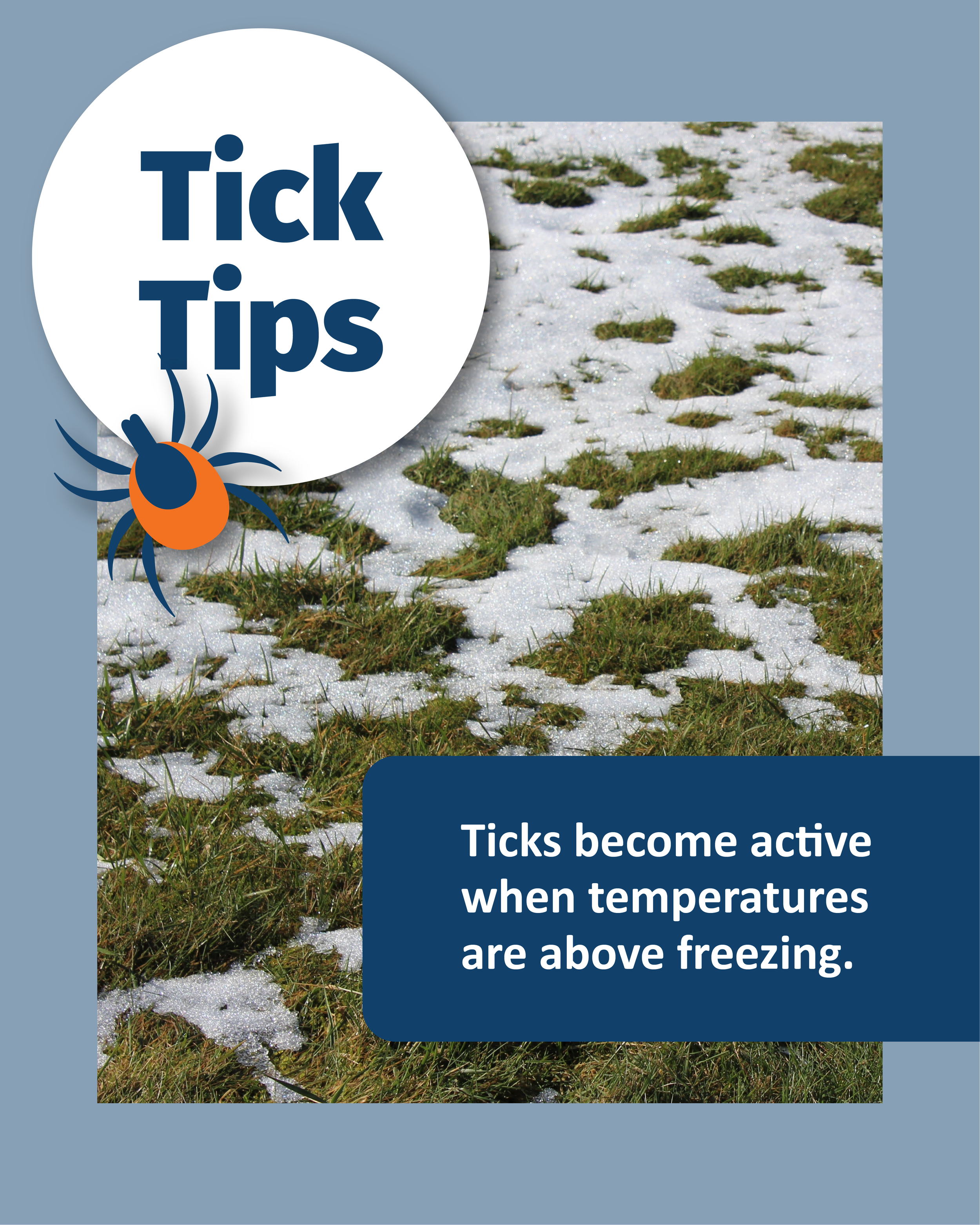 Ticks.png