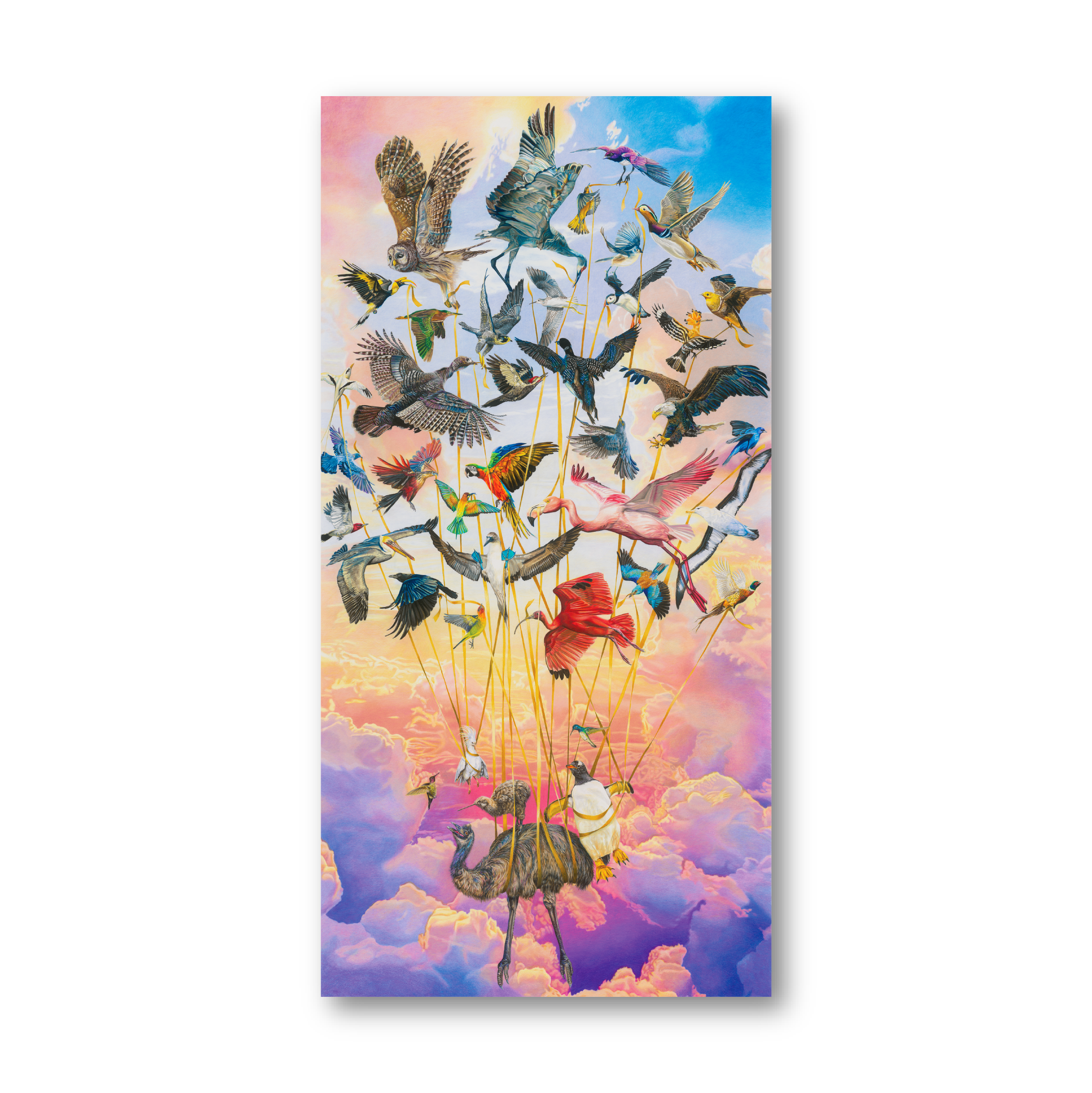 Website Image 2.png